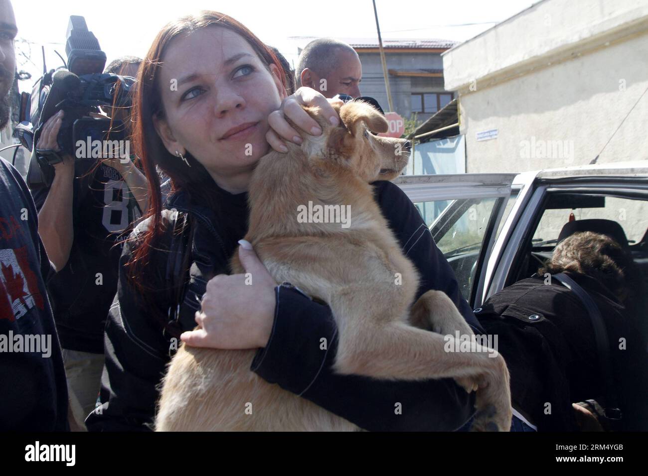 Bildnummer : 60535267 Datum : 27.09.2013 Copyright : imago/Xinhua (130927) -- BUCAREST, 27 septembre 2013 (Xinhua) -- Une femme tient un chien errant qu'elle a adopté dans un refuge appartenant à l'État, après que la loi autorisant l'euthanasie des chiens errants a été adoptée le 25 septembre, à Bucarest, capitale de la Roumanie, le 27 septembre 2013. (Xinhua/Gabriel Petrescu) ROUMANIE-BUCAREST-CHIENS ERRANTS-ADOPTION PUBLICATIONxNOTxINxCHN Gesellschaft Tierheim Hunde Streuner Tierlieb xdp x0x 2013 quer 60535267 Date 27 09 2013 Copyright Imago XINHUA Bucarest sept 27 2013 XINHUA une femme tient un chien errant qu'elle a adopté de la Owne d'État Banque D'Images