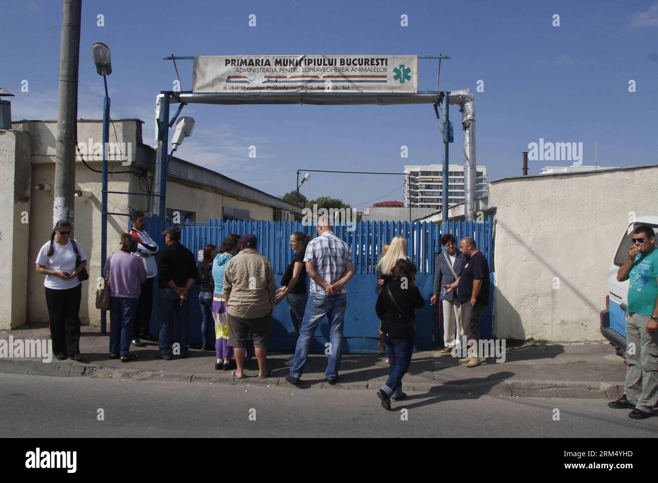 Bildnummer : 60535268 Datum : 27.09.2013 Copyright : imago/Xinhua (130927) -- BUCAREST, 27 septembre 2013 (Xinhua) -- Peopl attendre pour adopter des chiens errants du refuge appartenant à l'État, après que la loi autorisant l'euthanasie des chiens errants ait été adoptée le 25 septembre, à Bucarest, capitale de la Roumanie, le 27 septembre 2013. (Xinhua/Gabriel Petrescu) ROUMANIE-BUCAREST-CHIENS ERRANTS-ADOPTION PUBLICATIONxNOTxINxCHN Gesellschaft Tierheim Hunde Streuner Tierlieb xdp x0x 2013 quer 60535268 Date 27 09 2013 Copyright Imago XINHUA Bucarest sept 27 2013 XINHUA attend d'adopter des chiens errants du refuge appartenant à l'État après le Banque D'Images