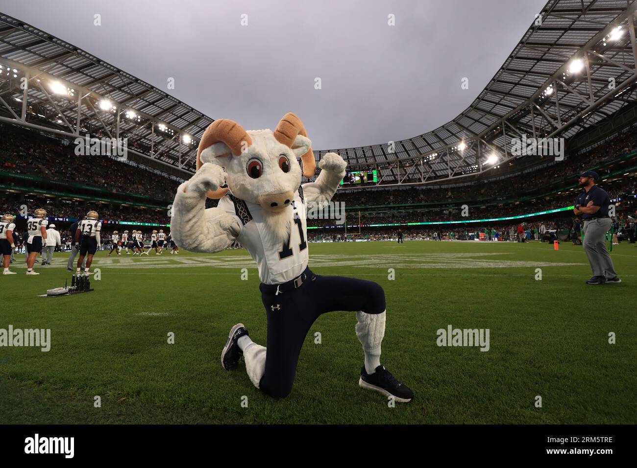 Dublin, Irlande. 26 juin 2023. Aviva Stadium Navy football Mascot la chèvre. (Hugh de Paor/SPP) crédit : SPP Sport Press photo. /Alamy Live News Banque D'Images
