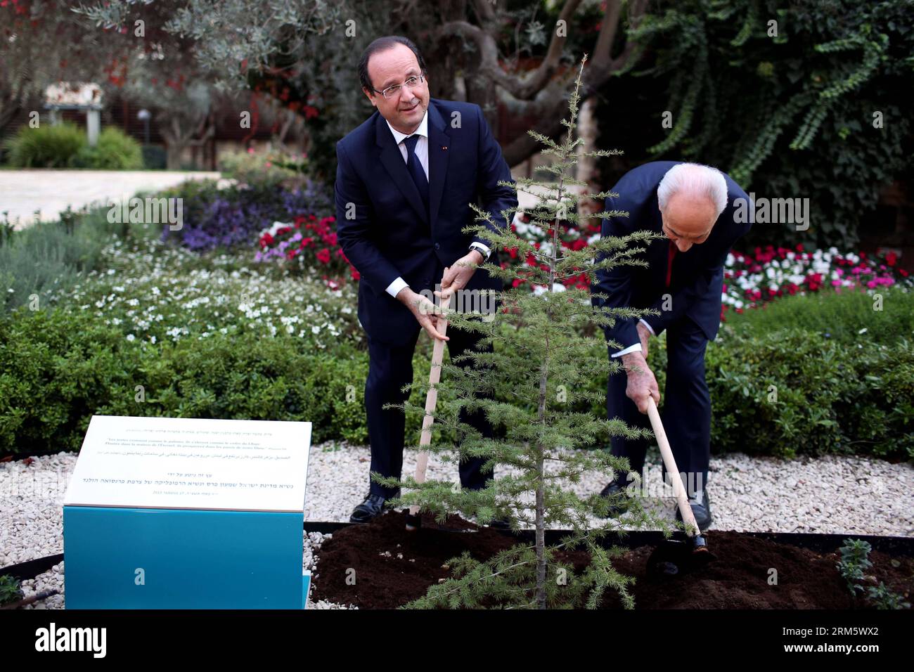 Bildnummer : 60725688 Datum : 17.11.2013 Copyright : imago/Xinhua le président israélien Shimon Peres (à droite) et le président français François Hollande plantent un cèdre lors d'une cérémonie de bienvenue pour le président français à la résidence du président israélien à Jérusalem, le 17 novembre 2013. Le président français François Hollande effectue une visite officielle de trois jours en Israël et en Cisjordanie. (Xinhua/Pool/Abir Sultan) MIDEAST-JERUSALEM-FRANCE-FRANCOIS HOLLANDE-VISIT PUBLICATIONxNOTxINxCHN People Politik xcb x0x 2013 quer premiumd 60725688 Date 17 11 2013 Copyright Imago XINHUA Président israélien Shimon Per Banque D'Images