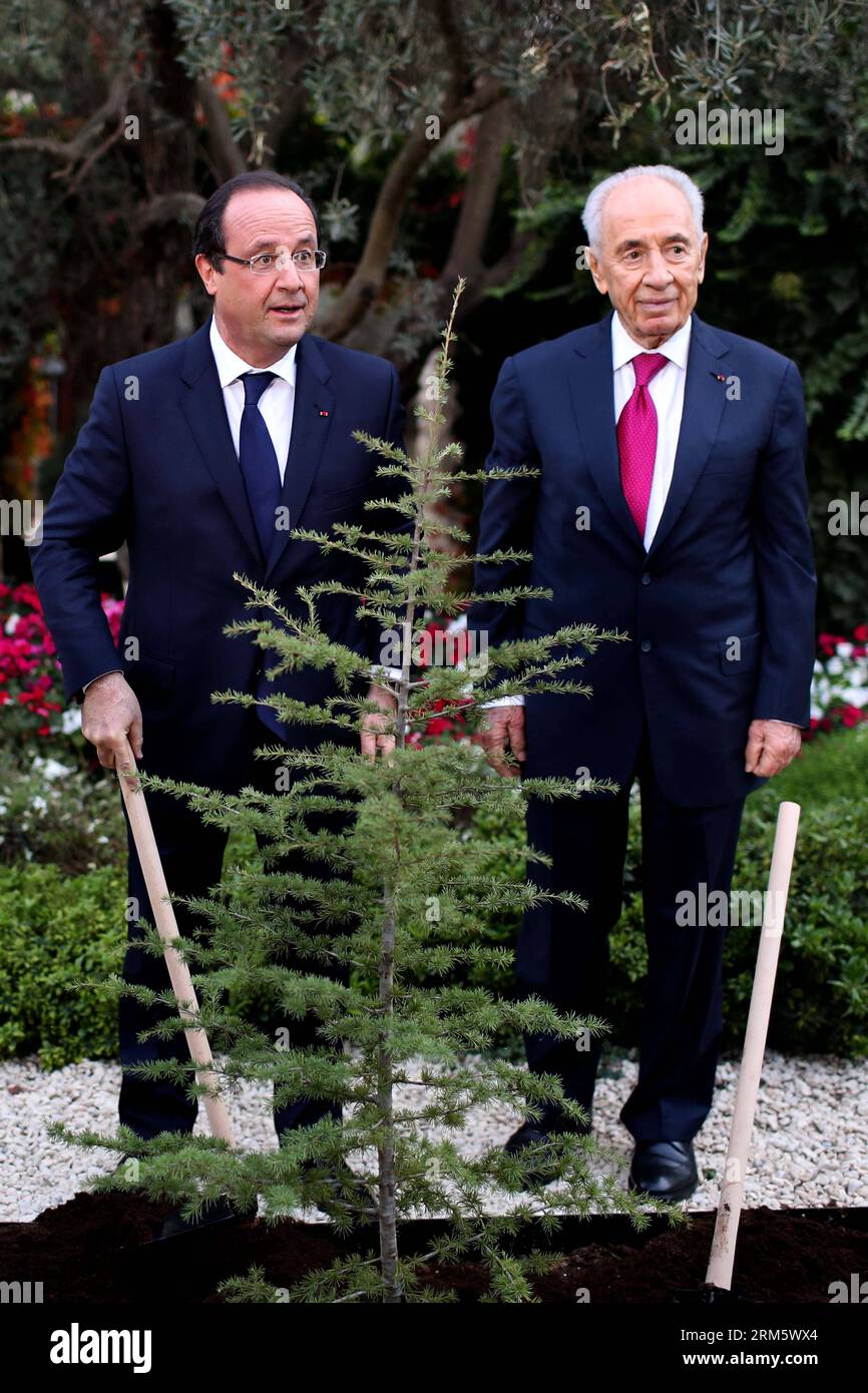 Le président israélien Shimon Peres (à droite) et le président français en visite François Hollande plantent un cèdre lors d'une cérémonie de bienvenue pour le président français à la résidence du président israélien à Jérusalem, le 17 novembre 2013. Le président français François Hollande effectue une visite officielle de trois jours en Israël et en Cisjordanie. (Xinhua/Pool/Abir Sultan) MIDEAST-JERUSALEM-FRANCE-FRANÇOIS HOLLANDE-VISIT PUBLICATIONxNOTxINxCHN le président israélien Shimon Peres r et le président français François Hollande plantent un cèdre lors d'une cérémonie de bienvenue pour le président français À la résidence du président israélien S. Banque D'Images
