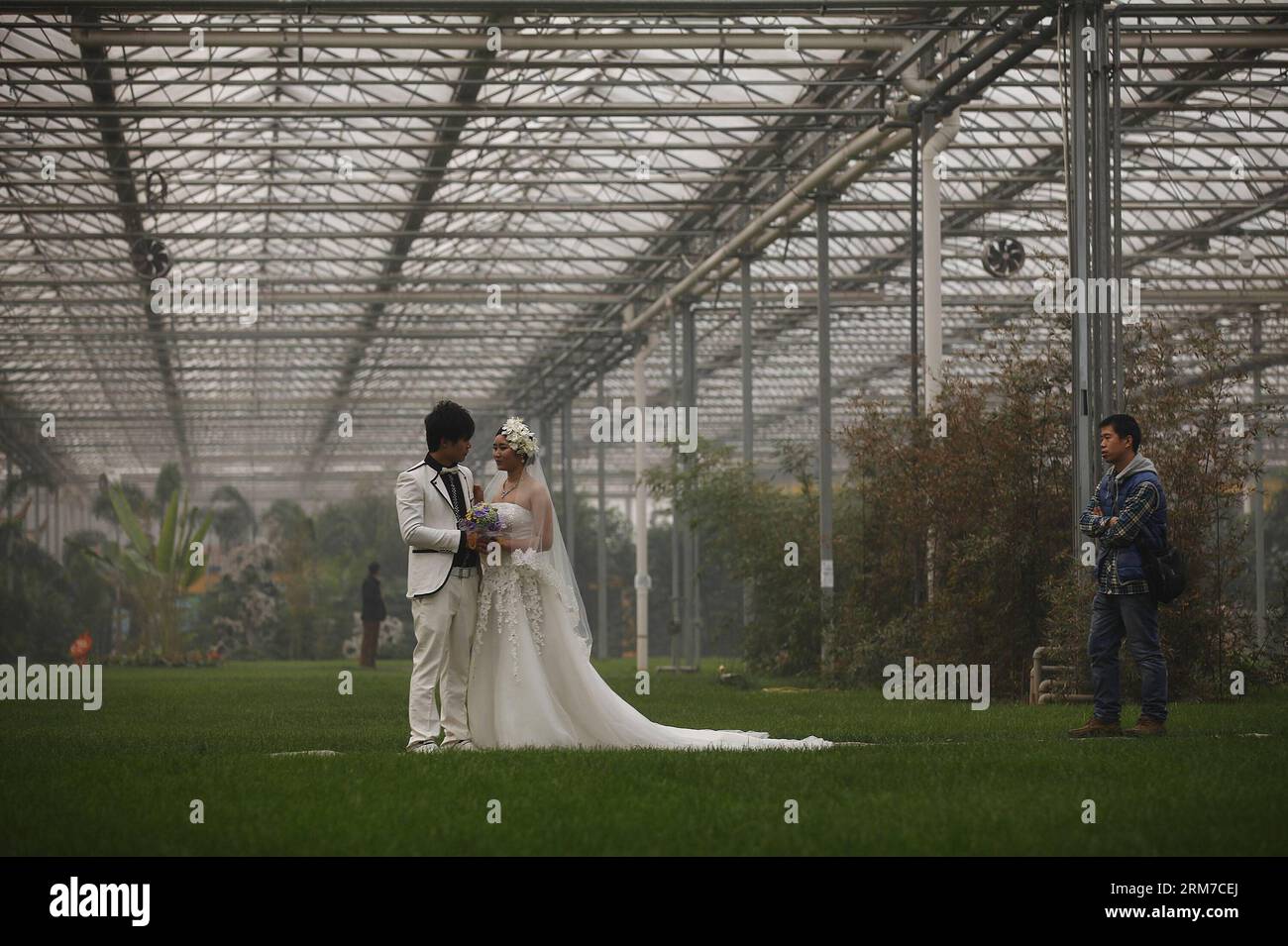 (140225) -- LANGFANG, 25 février 2014 (Xinhua) -- un couple pose pour des photos de mariage à l'intérieur de la serre de Jiutian dans le district d'Anci de Langfang, dans la province du Hebei du nord de la Chine, le 25 février 2014. À Langfang, les habitants ont commencé à prendre les serres comme refuge contre le smog qui persiste dans le nord de la Chine. À 5:00 heures mardi, l'autorité météorologique de la province du Hebei a maintenu son alerte orange à la pollution, le deuxième niveau le plus élevé de pollution atmosphérique, pendant quatre jours consécutifs. (Xinhua/Wang Shen) (lmm) CHINA-HEBEI-POLLUTION-LIFE-SERRES (N) PUBLICATIONxNOTxINxCHN Lang Fang fév 25 2014 XINH Banque D'Images