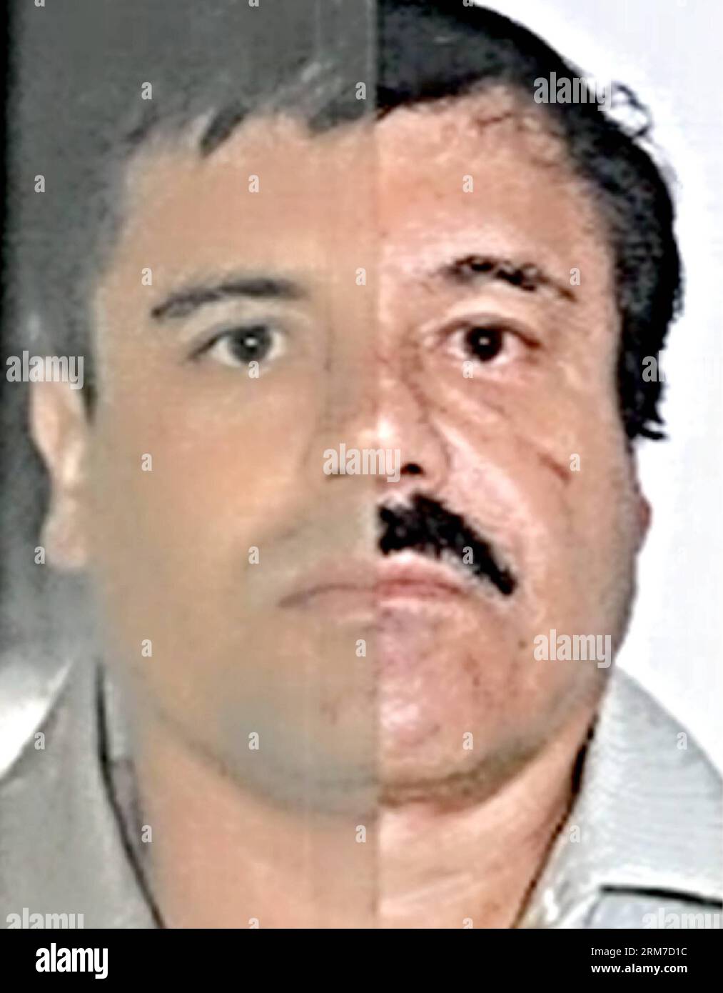 (140226) -- MEXICO, 26 février 2014 (Xinhua) -- photo combinée publiée par le Bureau du procureur général (PGR) du Mexique avec des marques cartographiques d'identification faites par la source pour souligner les similitudes dans les mesures du visage, montre Joaquin El Chapo Guzman, en utilisant des images faites de ses détentions de 1993 et 2014. Le chef du cartel Sinaloa a été soumis à un prélèvement buccal, à une étude d'identité phisiognomique et à un test de 10 empreintes digitales. Mardi, les tribunaux fédéraux au Mexique ont officiellement inculpé Joaquin El Chapo Guzman, le chef capturé du cartel de la drogue de Sinaloa, de crime organisé et de trafic de drogue. (Xinhua/Mexique s Banque D'Images