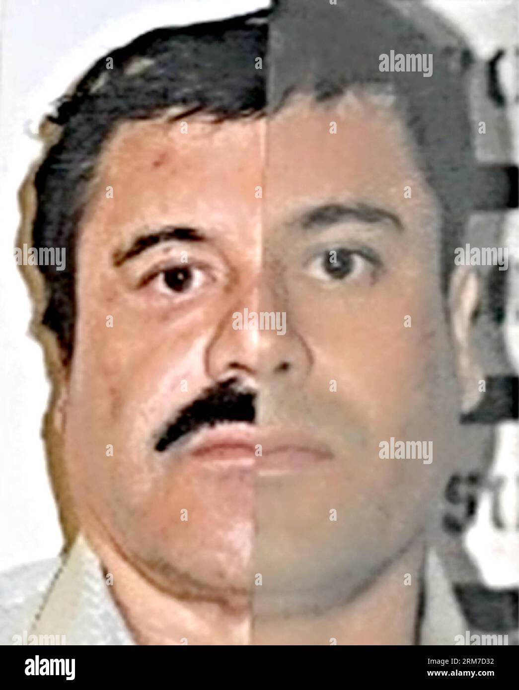 (140226) -- MEXICO, 26 février 2014 (Xinhua) -- ce combo de photographies publiées par le Bureau du procureur général (PGR) du Mexique avec des marques cartographiques d'identification faites par la source pour souligner les similitudes dans les mesures du visage, montre Joaquin El Chapo Guzman, en utilisant des images faites de ses détentions de 1993 et 2014. Le chef du cartel Sinaloa a été soumis à un prélèvement buccal, à une étude d'identité phisiognomique et à un test de 10 empreintes digitales. Mardi, les tribunaux fédéraux au Mexique ont officiellement inculpé Joaquin El Chapo Guzman, le chef capturé du cartel de la drogue de Sinaloa, de crime organisé et de trafic de drogue. (X Banque D'Images
