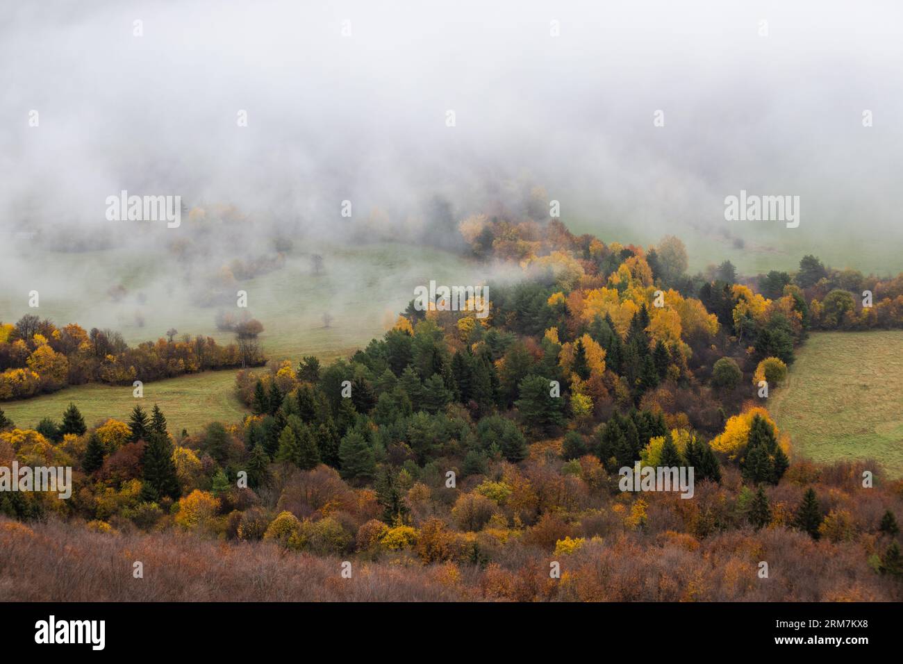 Forêt dans le brouillard à l'heure d'automne Banque D'Images