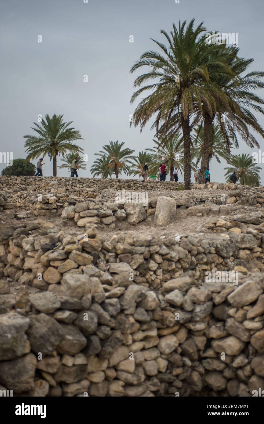 (140310) -- Megiddo (Israël), le 10 mars 2014 (Xinhua) -- les visiteurs à pied passé téléphone reste dans le Parc National de Megiddo, en Israël, le 8 mars 2014. L'As biblique - Megiddo, Hazor, Beer-Sheba en Israël ont été inscrits sur la Liste du patrimoine mondial de l'UNESCO en 2005. Tel (monticules préhistorique), sont caractéristiques des terrains plus plats de la Méditerranée orientale, en particulier le Liban, Syrie, Israël et la Turquie de l'Est. De plus de 200 tels en Israël, Megiddo, Hazor et Beer Sheba sont représentatifs de ceux qui contiennent d'importants vestiges de villes avec connexions biblique. Les trois tels également pré Banque D'Images