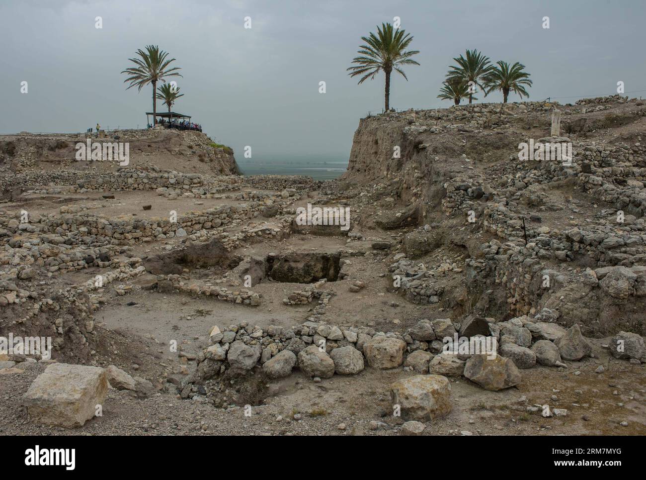 (140310) -- MEGIDDO (ISRAËL), 10 mars 2014 (Xinhua) -- les visiteurs écoutent la présentation par un guide des restes de tel dans le parc national de Megiddo, Israël, le 8 mars 2014. Les tels bibliques - Megiddo, Hazor, Beer Sheba en Israël ont été inscrits sur la liste du patrimoine mondial de l'UNESCO en 2005. Tels (monticules préhistoriques), sont caractéristiques des terres plus plates de la Méditerranée orientale, en particulier le Liban, la Syrie, Israël et l'est de la Turquie. Sur plus de 200 tels en Israël, Megiddo, Hazor et Beer Sheba sont représentatifs de ceux qui contiennent des restes substantiels de villes à conne biblique Banque D'Images