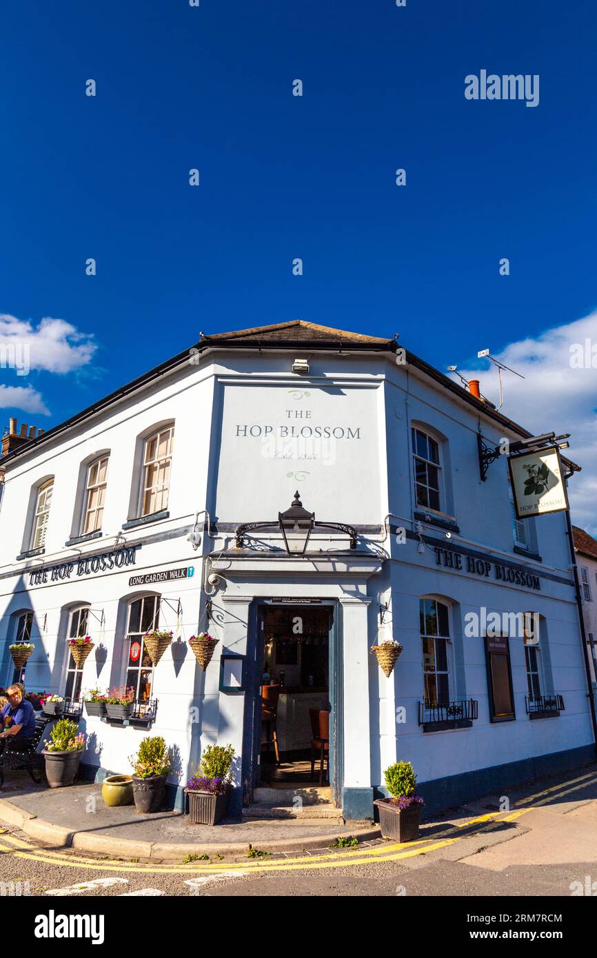 Extérieur du pub Hop Blossom à Farnham, Surrey, Angleterre Banque D'Images