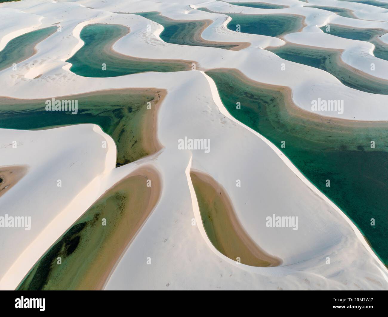 Vue aérienne de Lencois Maranhenses. Dunes de sable blanc avec piscines d'eau douce et transparente. Désert. Barreirinhas. Etat de Maranhao. Brésil Banque D'Images