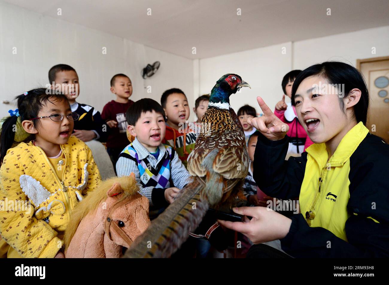 WEIHAI, 5 mai 2014 (Xinhua) -- l'enseignant Li Fangchao enseigne aux enfants avec un modèle à la maternelle Jinbaobei à Weihai, dans la province du Shandong de l'est de la Chine, le 5 mai 2014. Le gouvernement local a fourni aux jardins d ' enfants gérés par des civils des enseignants et des fonds pour faire en sorte que tous les enfants aient accès à l ' éducation préscolaire dans des conditions d ' égalité. (Xinhua/Guo Xulei) (zwy) CHINA-WEIHAI-KINDERGARTEN-EDUCATIONAL EQUITY(CN) PUBLICATIONxNOTxINxCHN Weihai Mai 5 2014 XINHUA Teacher Left enseigne aux enfants avec un modèle À la maternelle de Weihai East China S Shan Dong province Mai 5 2014 le gouvernement local a fourni Civilia Banque D'Images