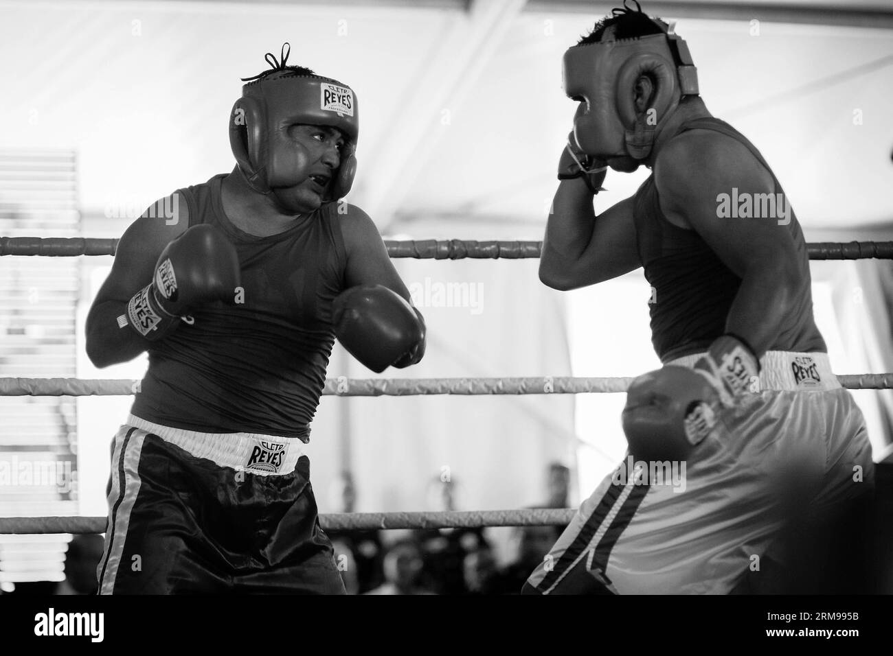 MEXICO, le 13 mai 2014 - le policier fédéral Francisco Javier Ruiz Garcia (à droite) et le marin Luis Felipe El Choco Garcia se battent lors du Premier Tournoi de boxe pour policiers organisé par le Conseil mondial de boxe et la Commission nationale des Sports (CONADE, pour son acronyme en espagnol) au centre de commandement de la police fédérale du Mexique, à Mexico, capitale du Mexique, le 13 mai 2014. Au moins 160 membres de la police fédérale, Secrétaire de la Défense nationale (SEDENA, pour son acronyme en espagnol), Secrétaire de la Marine (SEMAR, pour son acronyme en espagnol), et police d'État et municipale pa Banque D'Images