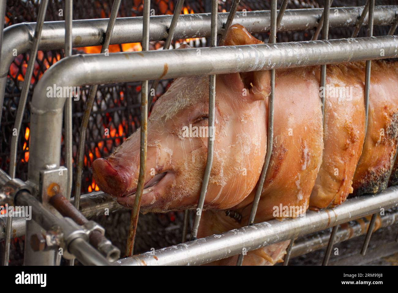 Gros plan d'un cochon entier rôti sur un feu de charbon ouvert. Préparation pour un barbecue (BBQ) quelque part en France. Image haute résolution avec Copyspace IF Banque D'Images