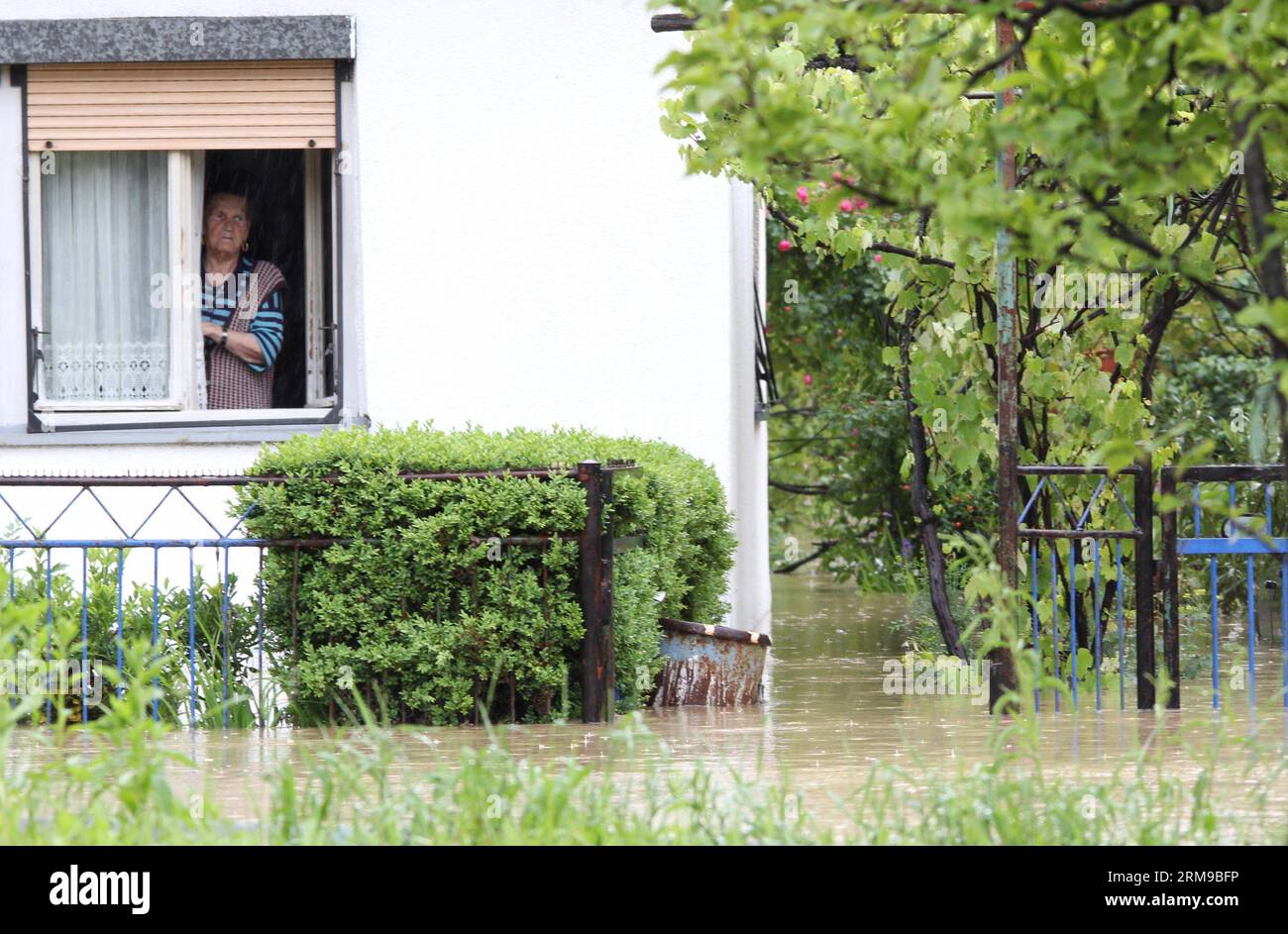 Une dame âgée attend de l'aide dans sa maison trempée dans l'eau à Banja Luka, capitale de la Republika Srpska, une entité de Bosnie-Herzégovine, le 16 mai 2014. Des centaines de personnes ont été évacuées de leurs maisons à Banja Luka pendant la nuit, alors que les inondations survolaient les routes, les ponts et les voies ferrées, fermant des écoles et coupant l'alimentation électrique et les lignes téléphoniques. (Xinhua/Borislav Zdrinja) BOSNIE-HERZÉGOVINE-BANJA LUKA-INONDATION PUBLICATIONxNOTxINxCHN une dame aînée attend de l'aide dans sa maison trempée dans l'eau à Banja Luka capitale de la Republika Srpska à l'entité de Bosnie-Herzégovine LE 16 2014 mai hu Banque D'Images