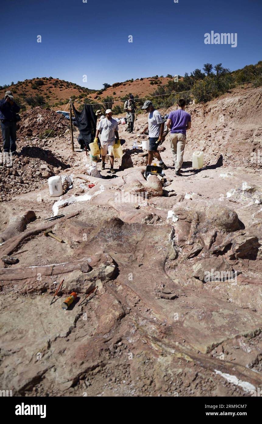 (140518) -- CHUBUT, 17 mai 2014 (Xxinhua) -- les gens marchent devant le plus grand fossile de dinosaure connu, dans la province de Chubut, Argentine, le 17 mai 2014. Selon l agence de presse Argentine Telam, la découverte permettra de résoudre les questions sur les conditions climatiques en Patagonie il y a des millions d années. (Xinhua/TELAM) (da) (fnc) ARGENTINA-CHUBUT-archéologie-DISCOVERY PUBLICATIONxNOTxINxCHN Chubut Mai 17 2014 célébrités marchent devant le plus grand fossile de dinosaure connu dans la province de Chubut Argentine LE 17 2014 mai selon l'agence de presse Argentine S Telam la découverte le permettra Banque D'Images