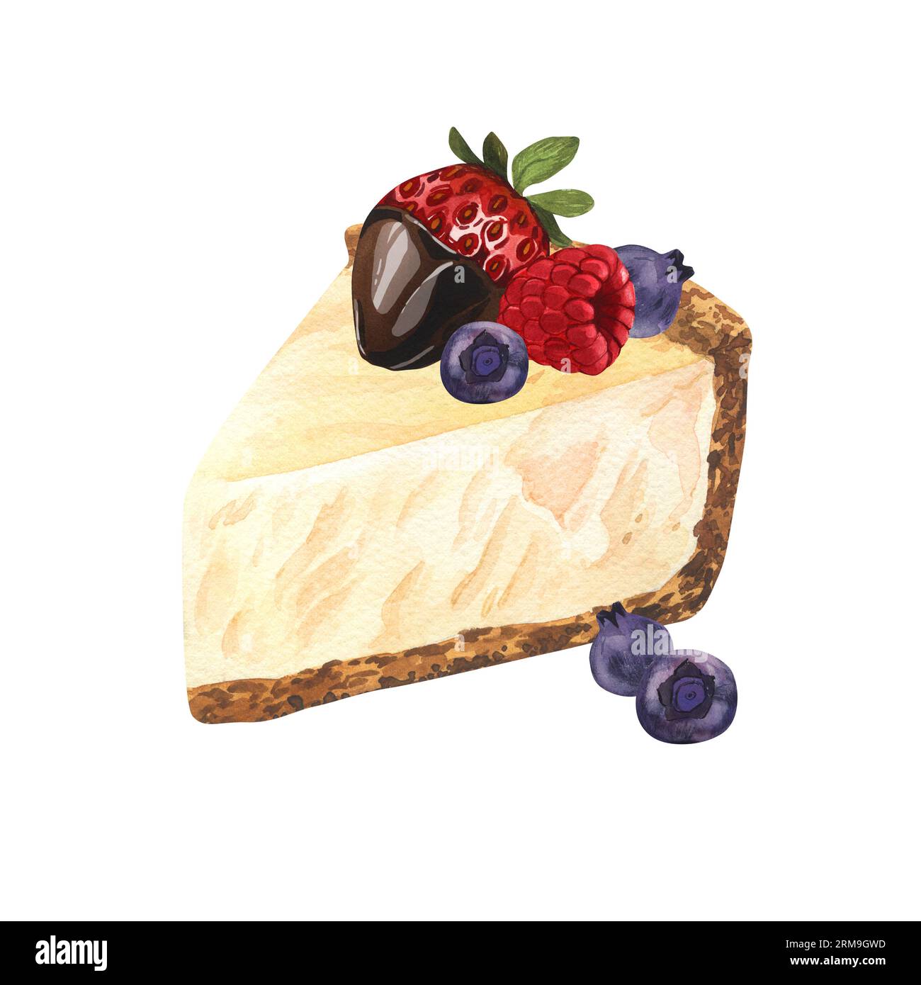 Dessert aquarelle, morceau de cheesecake avec fraises fraîches, myrtille et framboise. Illustration dessinée à la main isolée sur fond blanc Banque D'Images