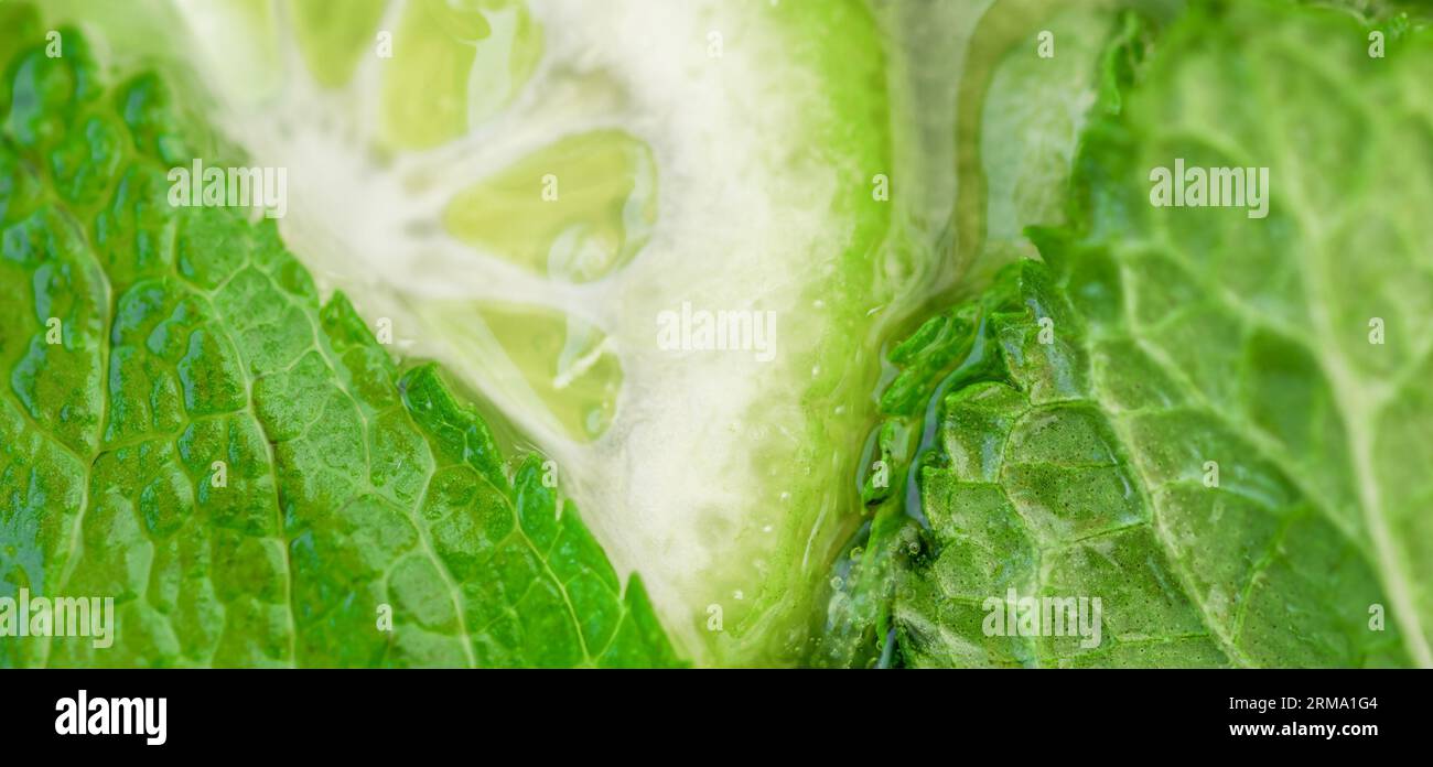 Cocktail avec des feuilles de citron vert et de menthe poivrée. Fond de tranches d'agrumes et de menthe Banque D'Images