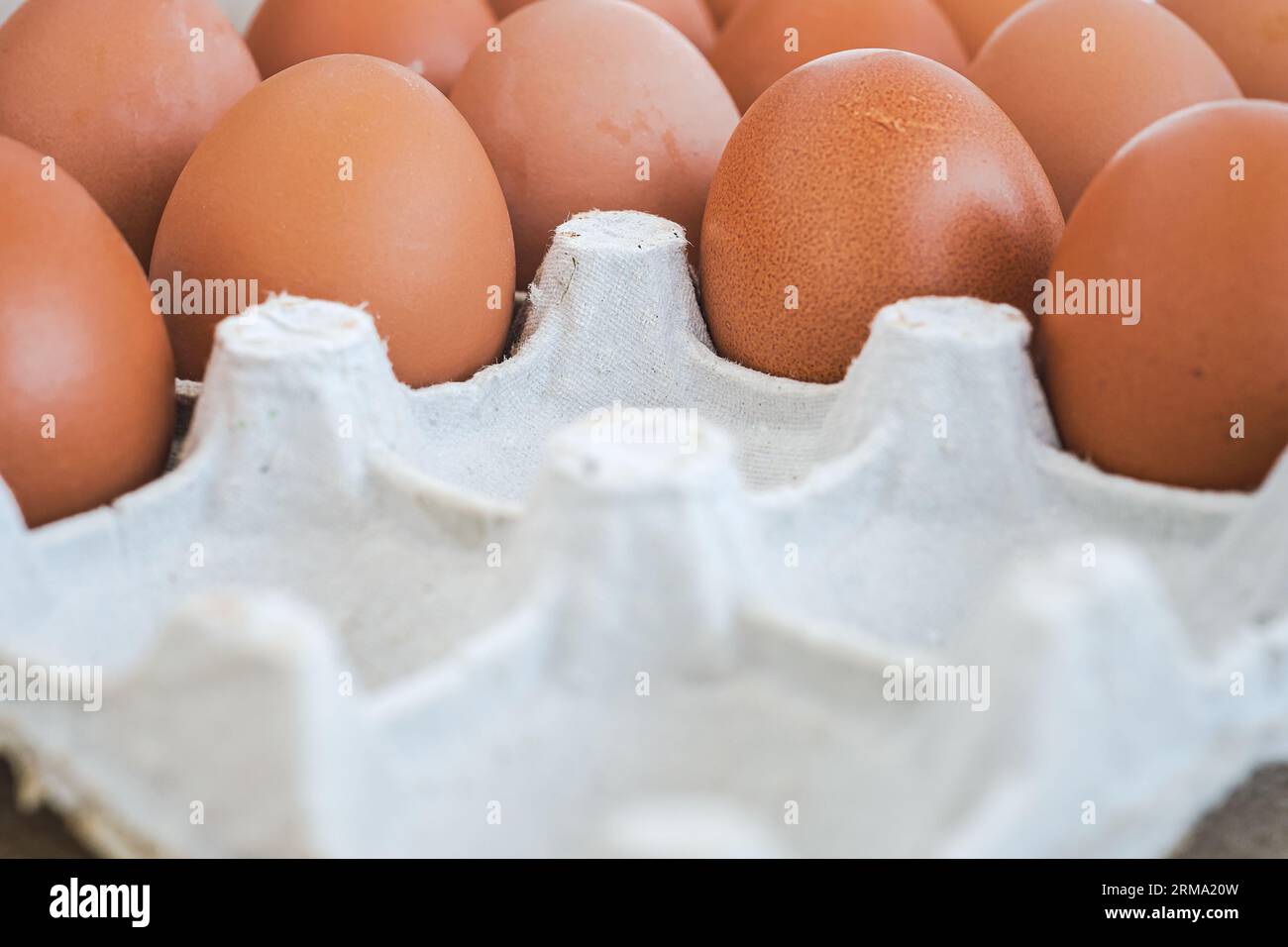 Gros plan sur l'emballage des œufs de poule, produits frais du marché fermier, emballages recyclés. Banque D'Images