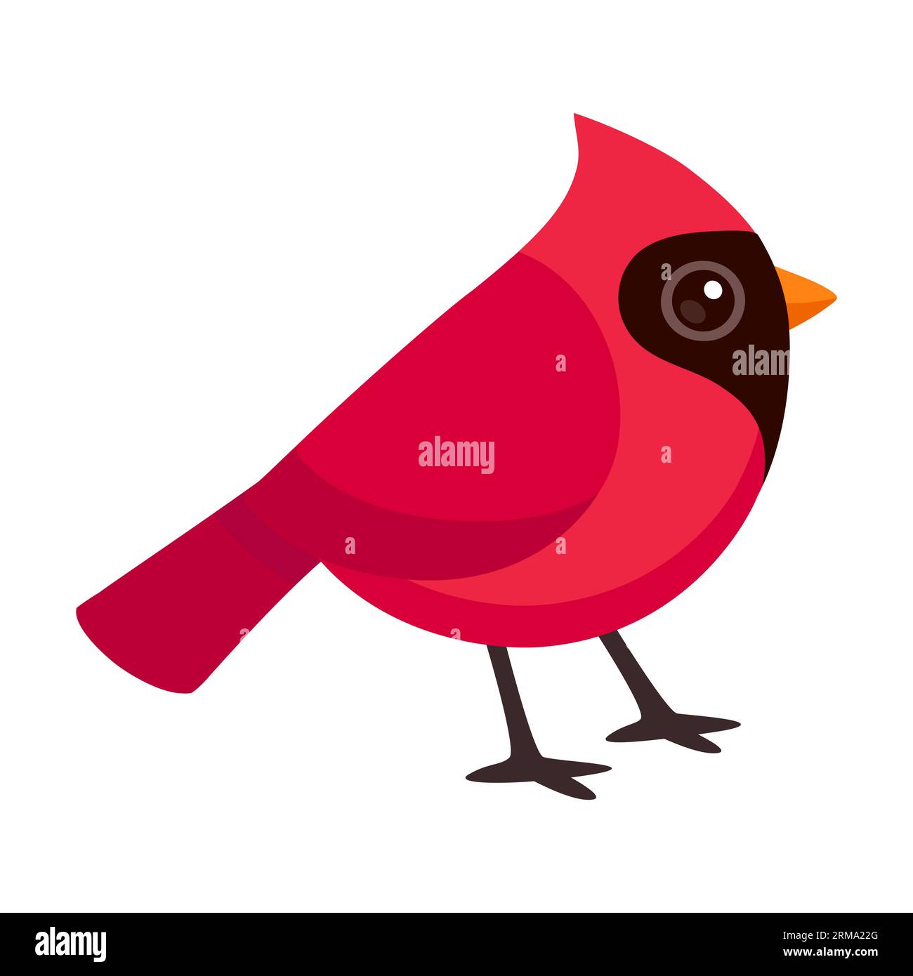 Mignon dessin animé rouge Cardinal du Nord oiseau. Illustration clip art vectorielle simple. Illustration de Vecteur