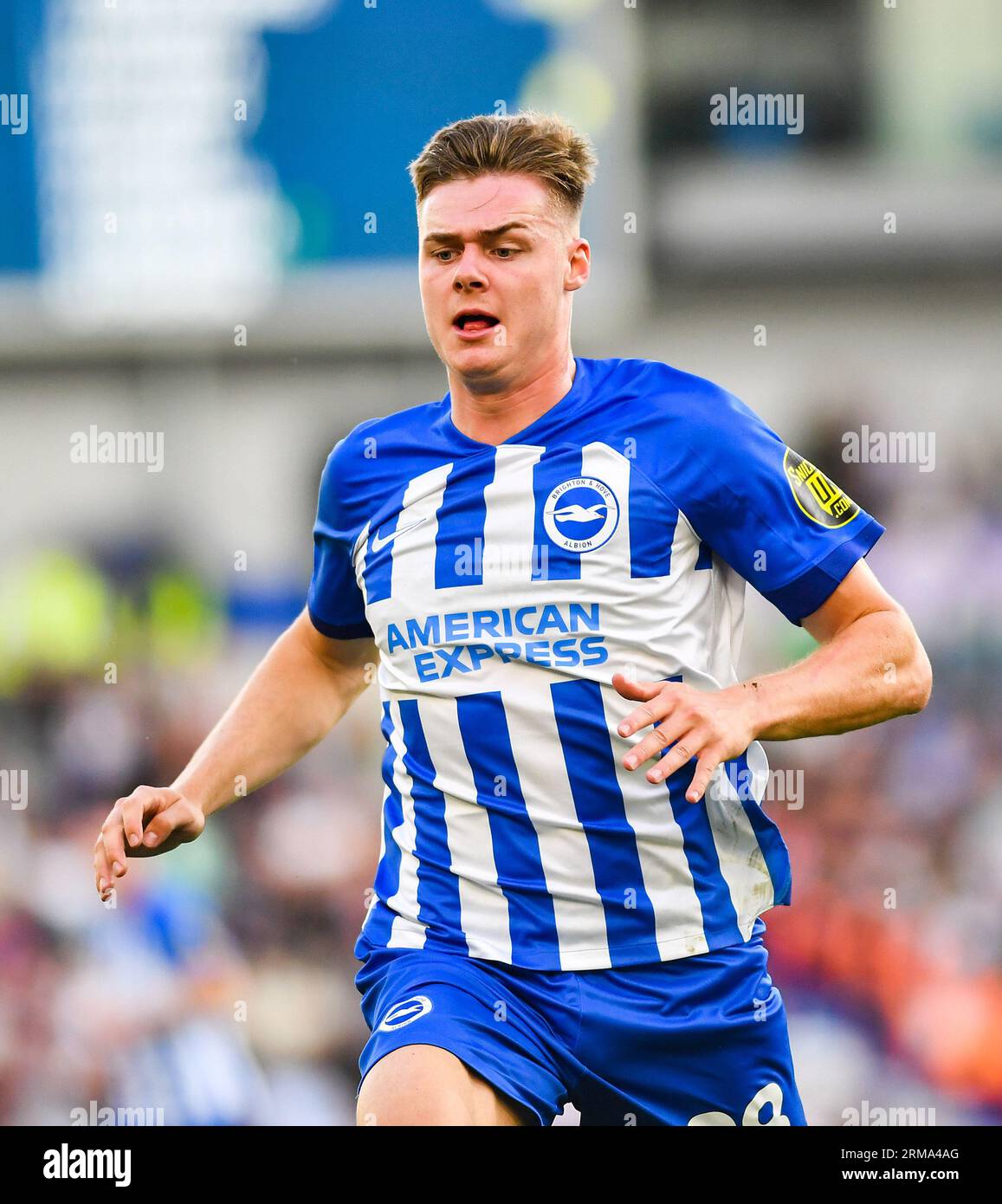 Evan Ferguson de Brighton lors du match de Premier League entre Brighton et Hove Albion et West Ham United au American Express Stadium, Brighton, Royaume-Uni - 26 août 2023. Photo Simon Dack / Téléphoto Images à usage éditorial uniquement. Pas de merchandising. Pour les images de football des restrictions FA et Premier League s'appliquent inc. Aucune utilisation Internet/mobile sans licence FAPL - pour plus de détails contacter football Dataco Banque D'Images