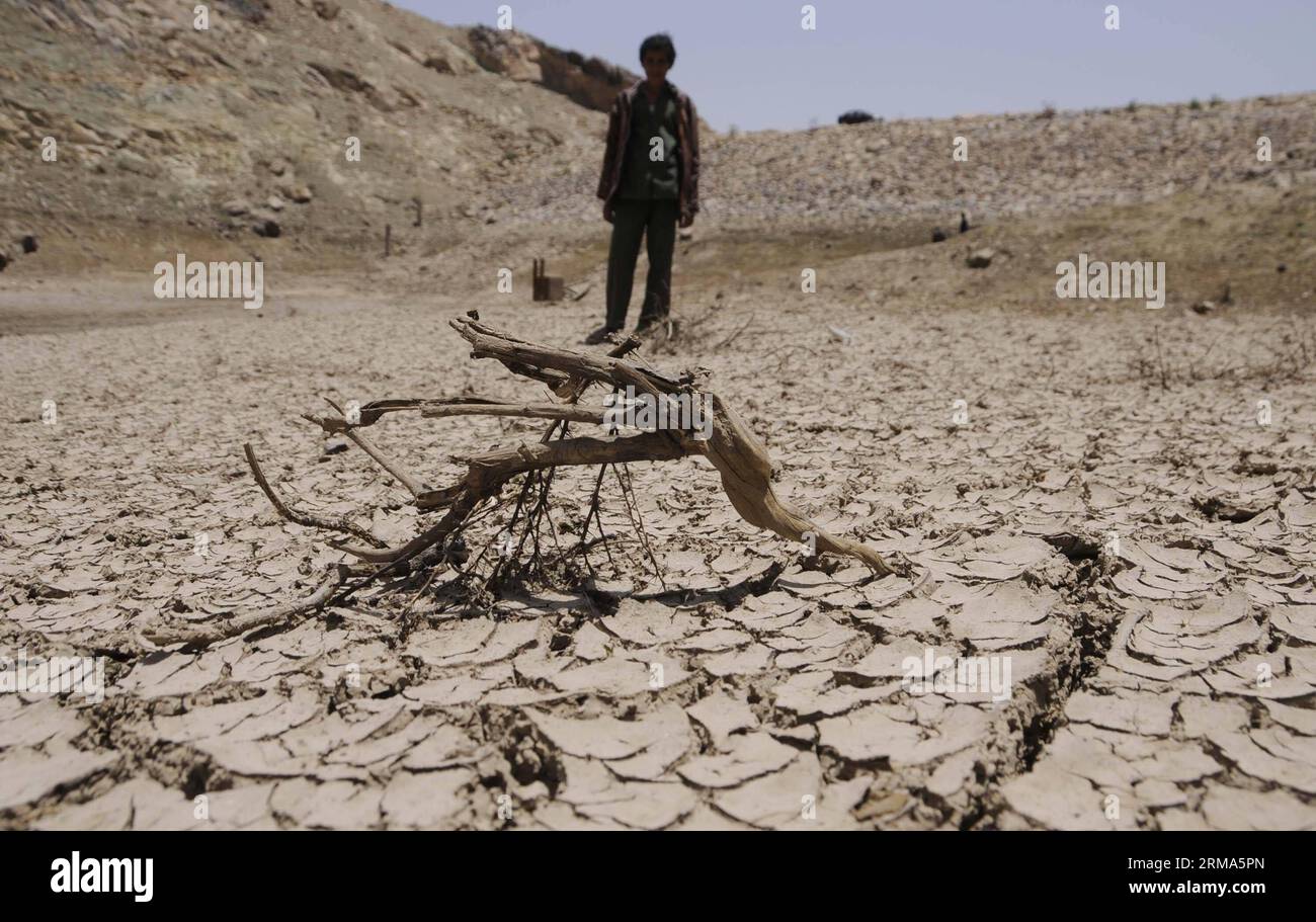 Le sol se dégrade en raison de la baisse des précipitations cette année, ce qui entraîne la sécheresse dans les fermes de la périphérie de Sanaa, au Yémen, le 18 juin 2014. Le Yémen est l'un des pays les plus arides de la planète et dépend presque exclusivement des eaux souterraines pour son approvisionnement en eau. Sanaa, sa capitale, pourrait devenir la première capitale au monde à manquer d approvisionnement en eau viable alors que les cours d eau et les aquifères naturels du pays s assèchent dans environ cinq à dix ans. (Xinhua/Mohammed Mohammed) YEMEN-SANAA-SÉCHERESSE PUBLICATIONxNOTxINxCHN le sol EST les lacs se fissurant en raison de moins de précipitations cette année Thatcher conduit à la sécheresse i Banque D'Images