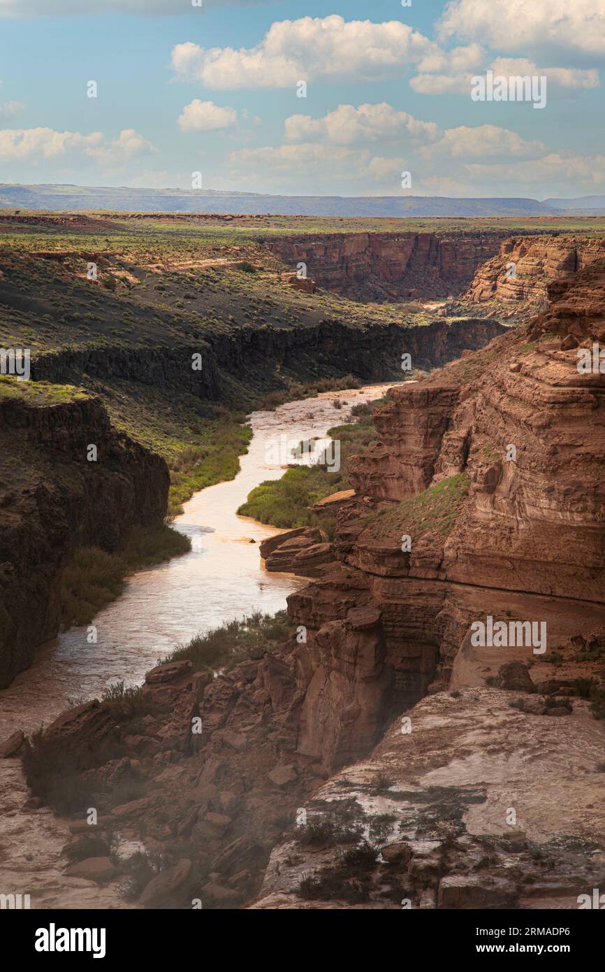 Du sommet de Grand Falls, le Little Colorado River coule vers le Colorado River transportant les pluies de mousson du désert à travers la nation Navajo. Banque D'Images
