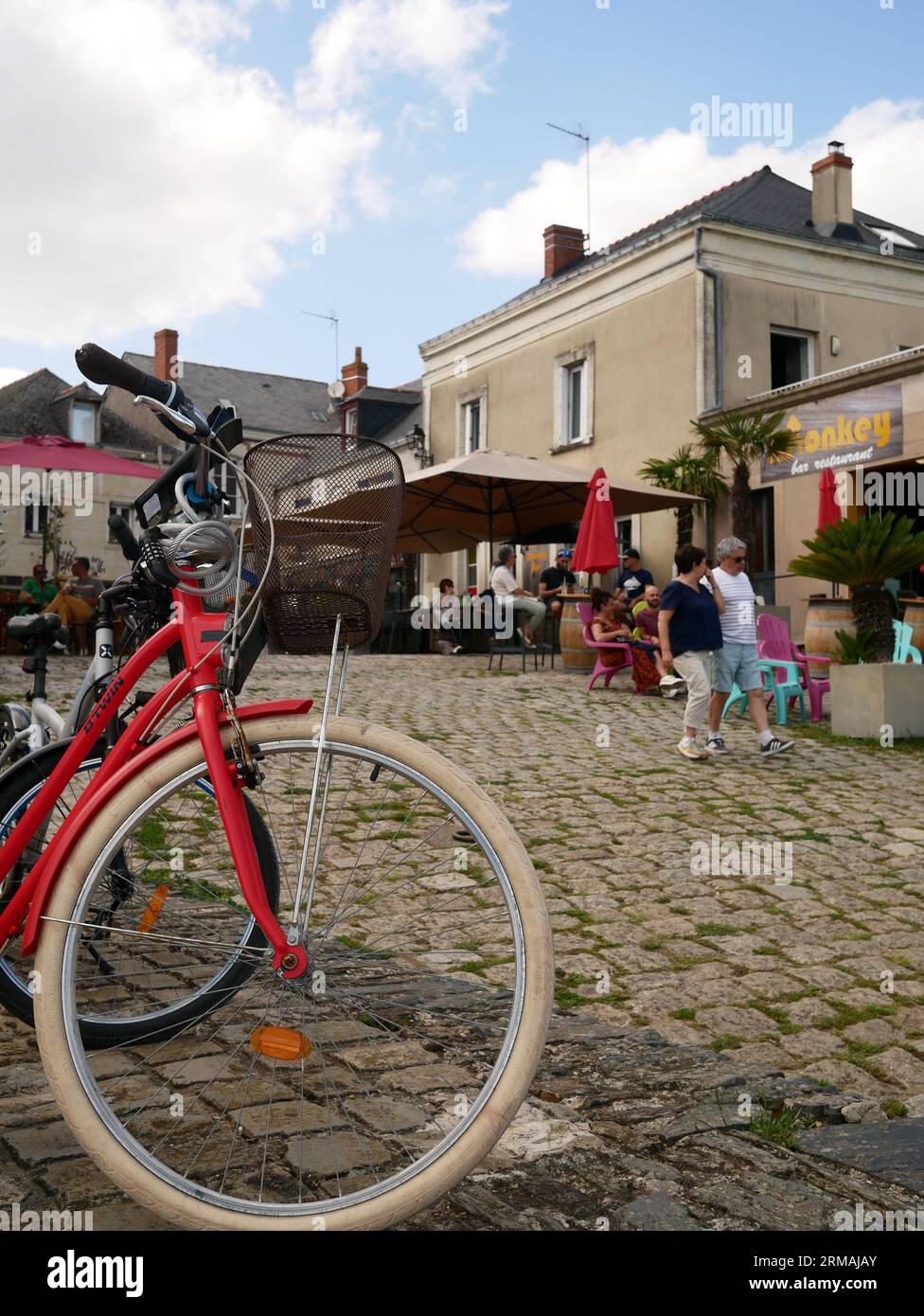 Le PL animé. Ruzebouc la Pointe Bouchemaine au confluent du Maine et de la Loire Banque D'Images