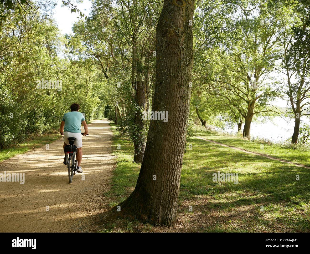 Cycliste sur la piste entre la rivière Maine et le lac de Maine, Angers, France Banque D'Images