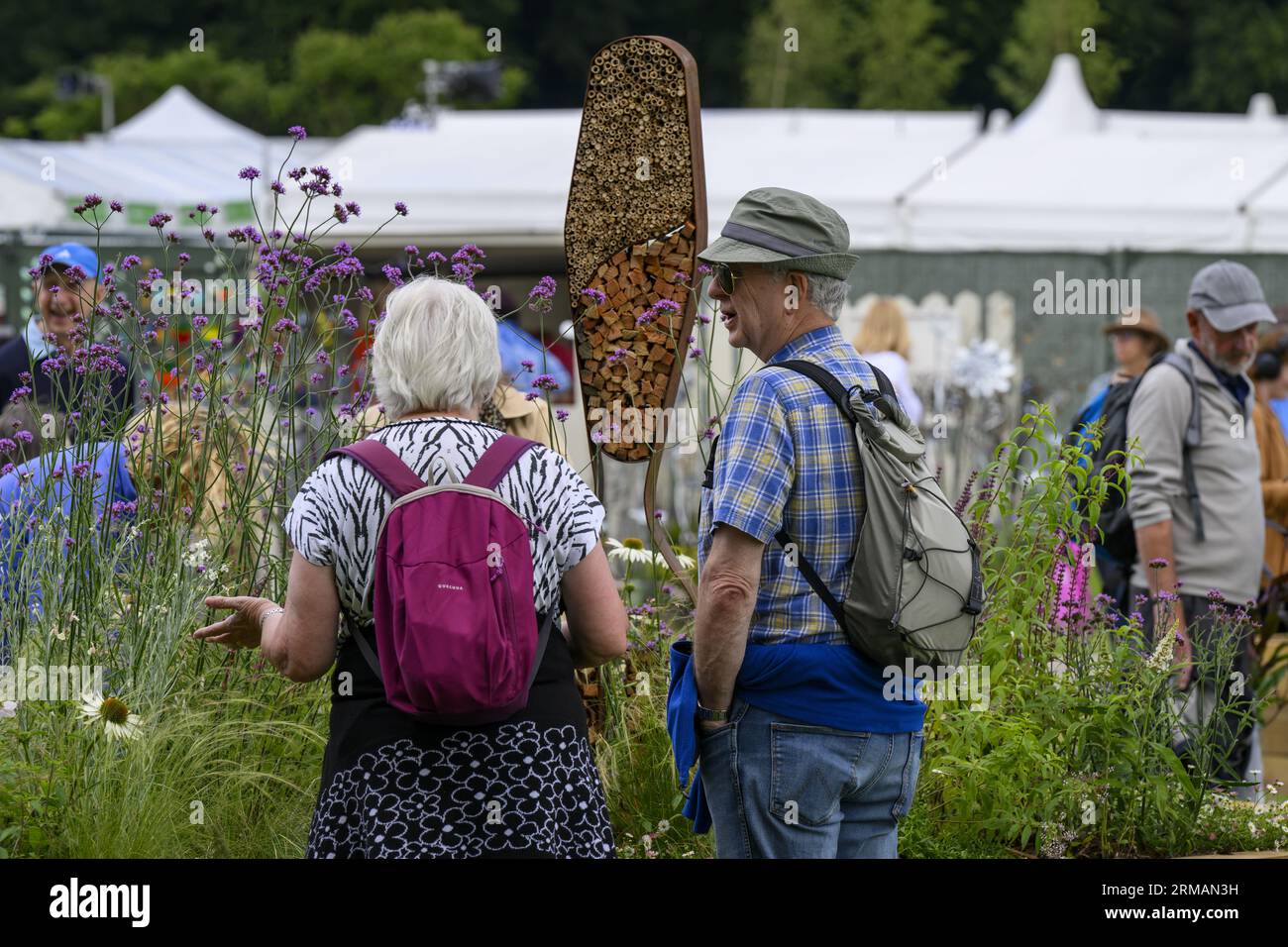 Les visiteurs (couple) voient l'habitat des insectes et le lit surélevé horticole participation au concours - RHS Tatton Park Flower Show 2023 Showground, Cheshire Angleterre, Royaume-Uni. Banque D'Images