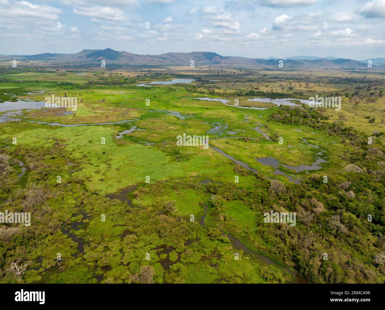 Prise de vue par drone des prairies inondées vert vif du Pantanal au Brésil, la plus grande zone humide d'eau douce du monde - voyageant en Amérique du Sud Banque D'Images