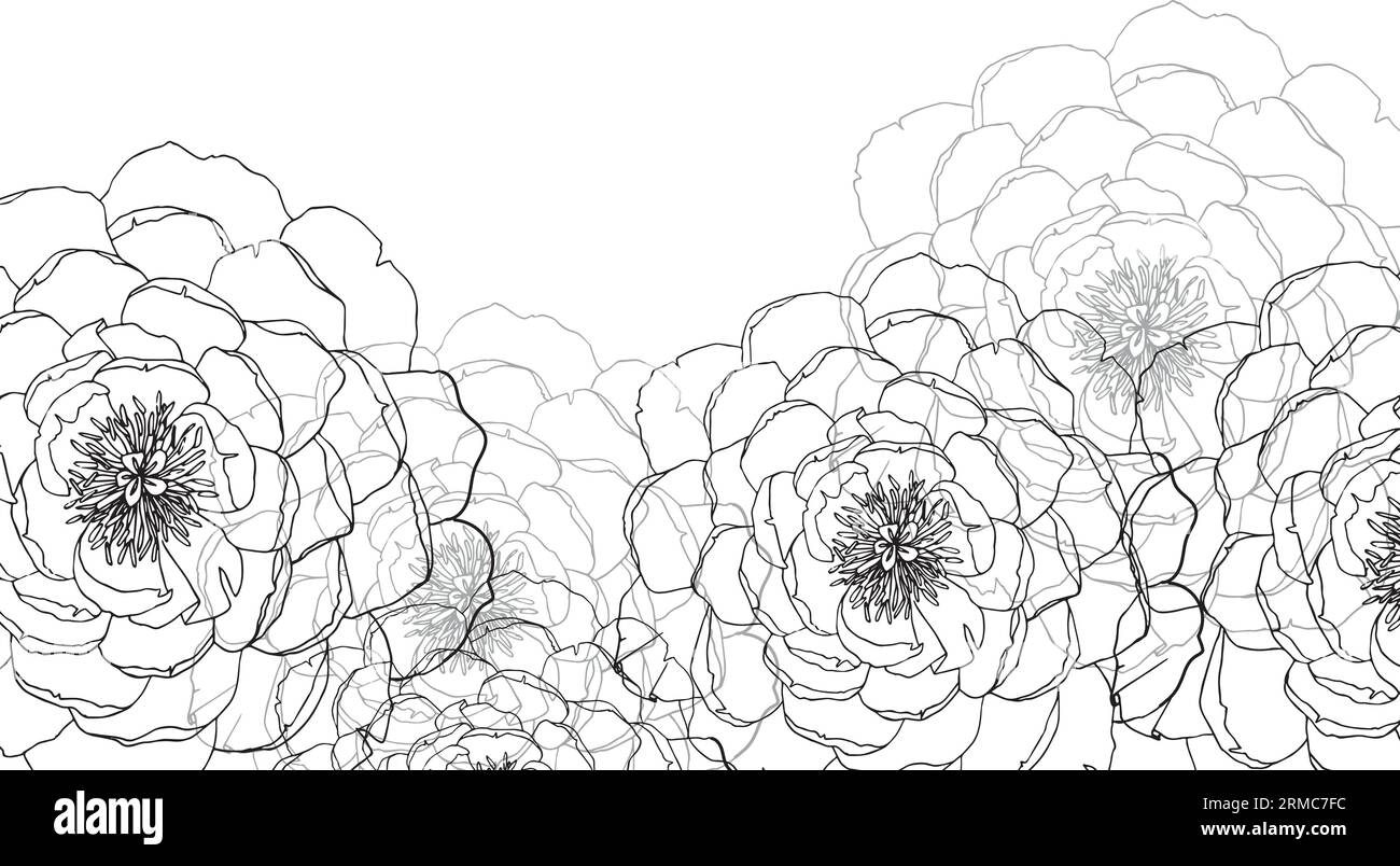 Cadre avec illustration vectorielle de fleur de pivoine isolée sans fond. Bouton floral d'élément botanique. Clipart d'encre graphique pour cartes postales, mariage Illustration de Vecteur