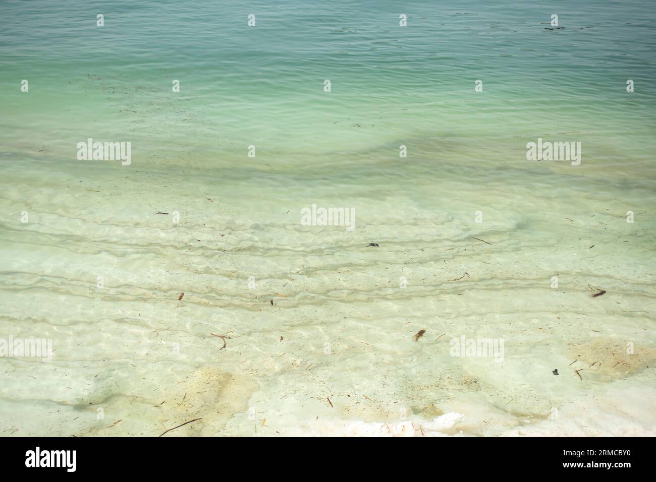Formations salées de la mer Morte en Jordanie, roches salées Banque D'Images