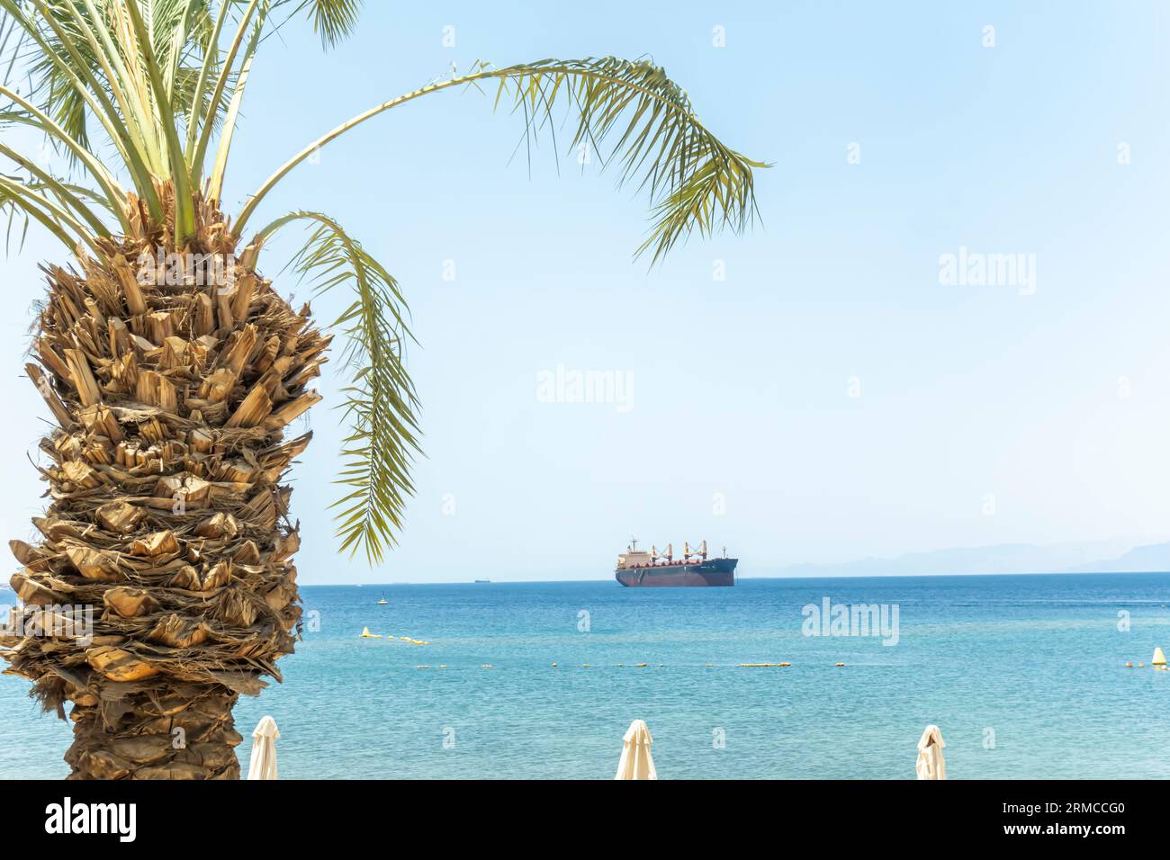 Palmier et cargo dans le golfe d'Aqaba Banque D'Images