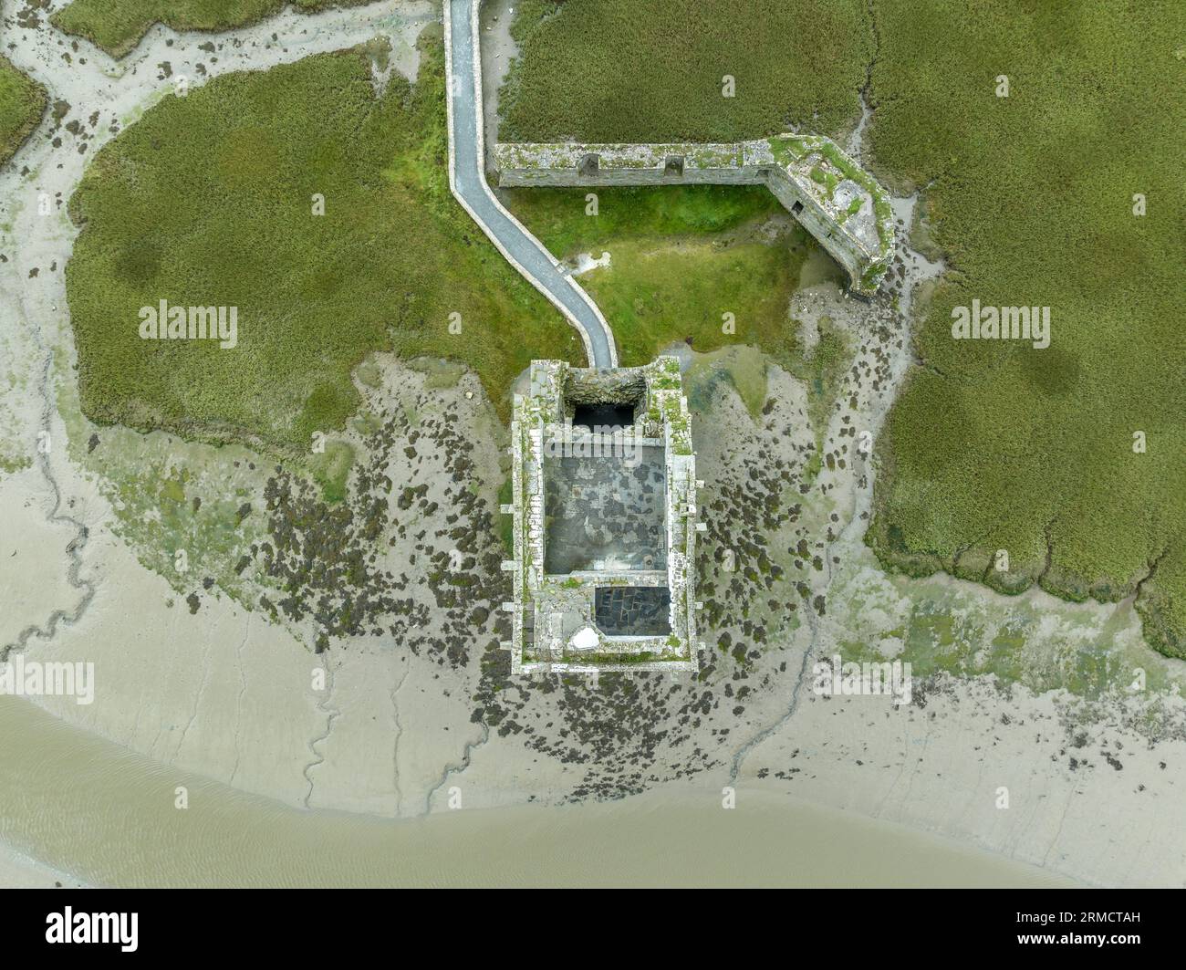Vue aérienne du château de Carrigafoyle, maison-tour irlandaise en ruine à Munster, au large de l'estuaire du Shannon avec des murs défensifs Banque D'Images