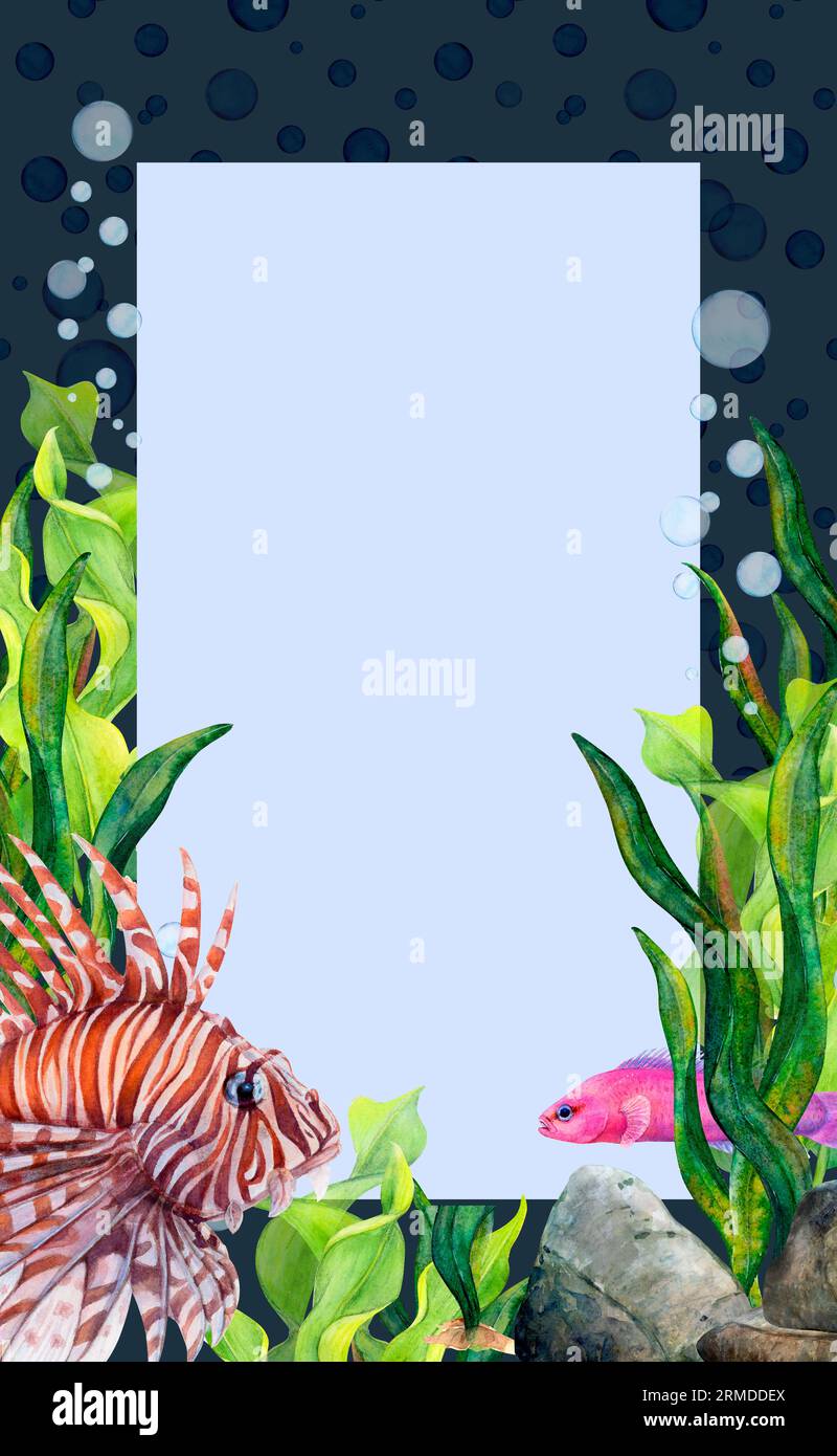 Cadre de dessin d'aquarelle à partir d'algues de ruban, de pierre, de bulles d'air, de poisson lionfish et de poissons antias sur fond sombre. Illustration Scillfull pour photo Banque D'Images
