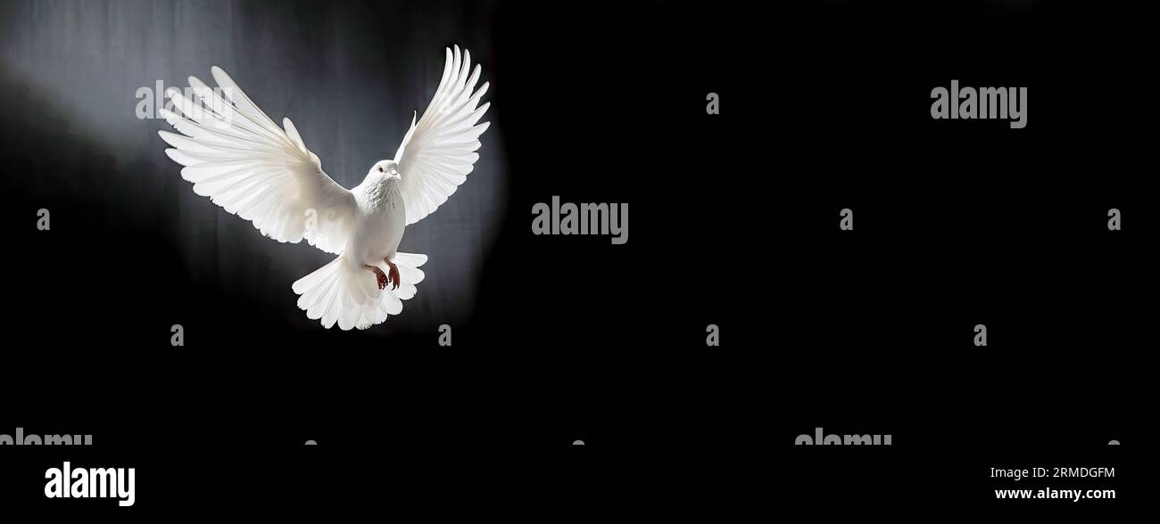 Une colombe blanche liberté voler des ailes sur fond transparent symbole de la Journée internationale de la paix, Saint-Esprit de Dieu dans le ciel de religion chrétienne Banque D'Images