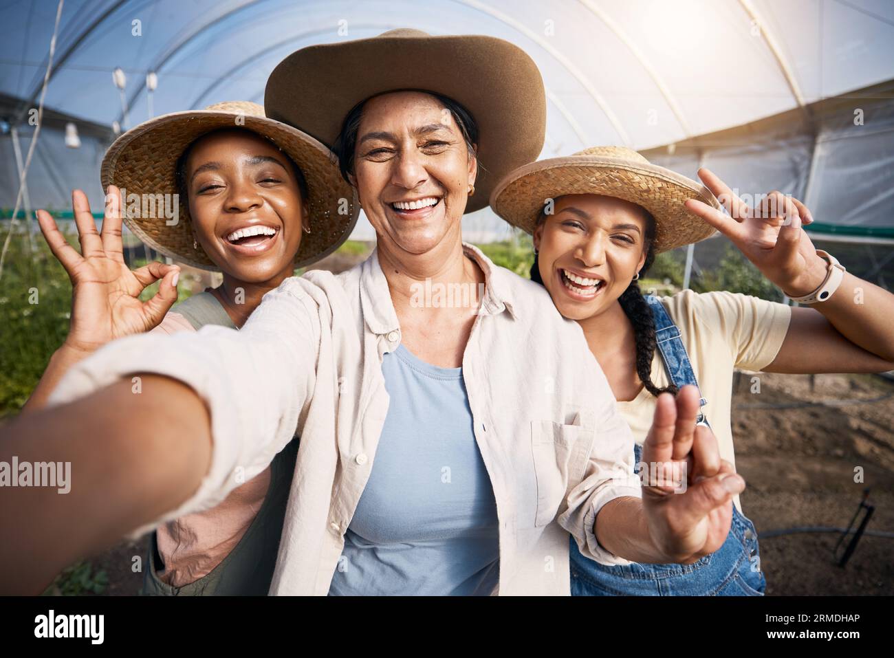 Jardinage, selfie de groupe de femmes en serre et petite entreprise durable dans l'agriculture. Heureuse équipe de fermier à la ferme de légumes, photographie et Banque D'Images