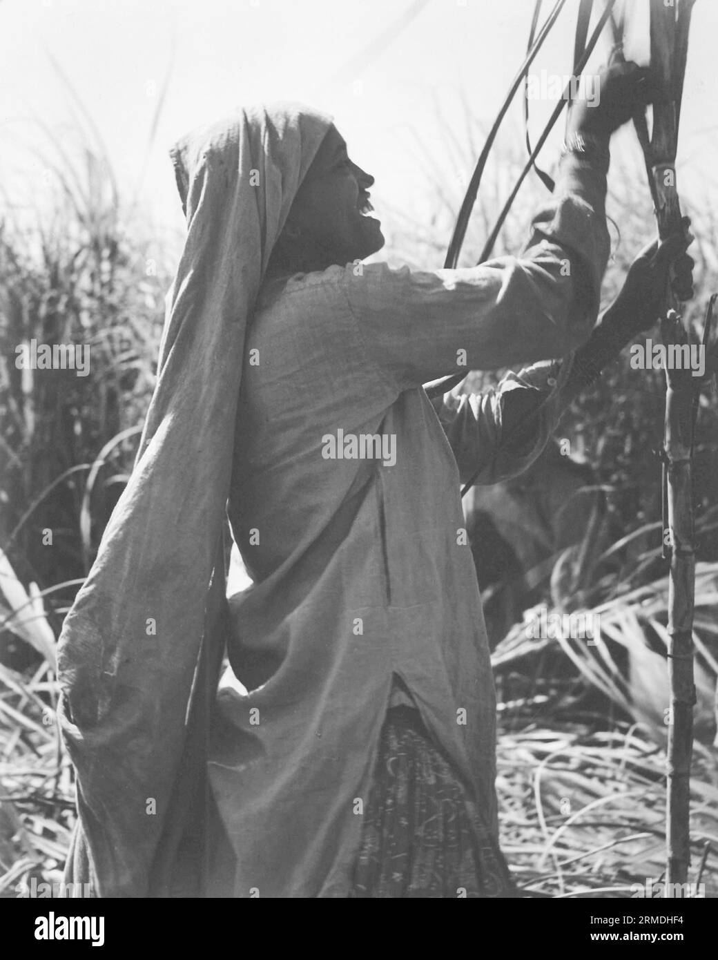 Vieux vintage portrait d'extérieur noir et blanc début des années 1900 impression argentée gélatine tonique Indian Woman India Banque D'Images