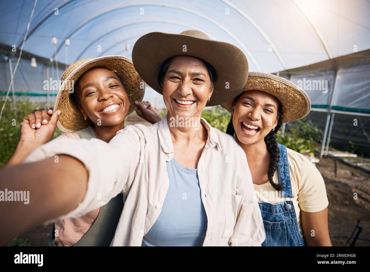 Agriculture, selfie de groupe de femmes en serre et petites entreprises durables dans l'agriculture. Heureuse équipe de fermier à la ferme de légumes, photographie et Banque D'Images
