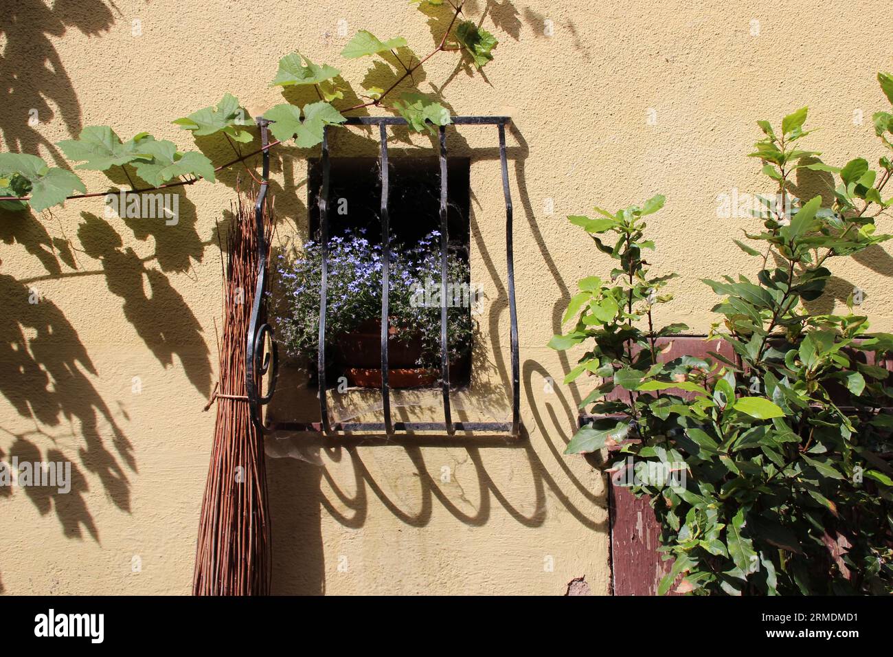 maison à eguisheim en alsace (france) Banque D'Images