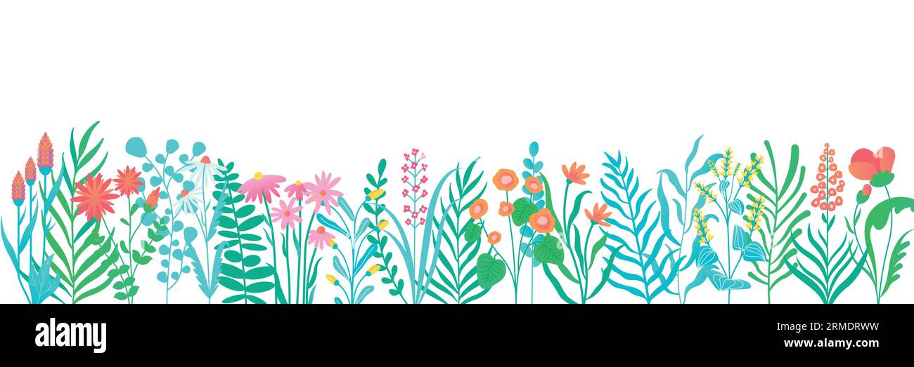 Bannière florale horizontale. Toile de fond florale d'été avec bourgeons fleuris, cadres décoratifs botaniques pour la conception d'invitation de mariage. Illustration vectorielle Illustration de Vecteur