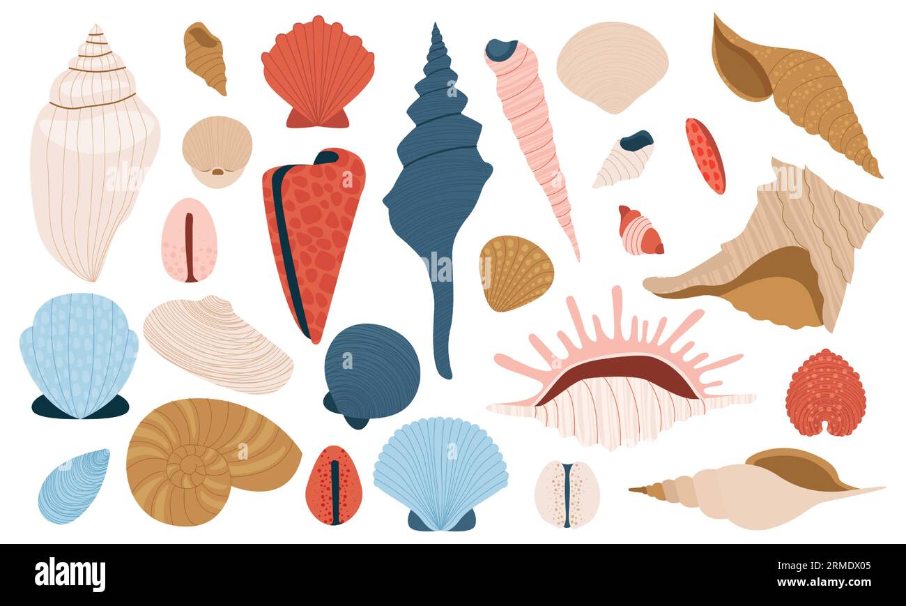 Coquillages marins. Coquillages marins colorés de dessin animé, coquillages marins nautiques, pétoncle et palourde, design plat de vacances à la plage d'été. Ensemble isolé de vecteur Illustration de Vecteur