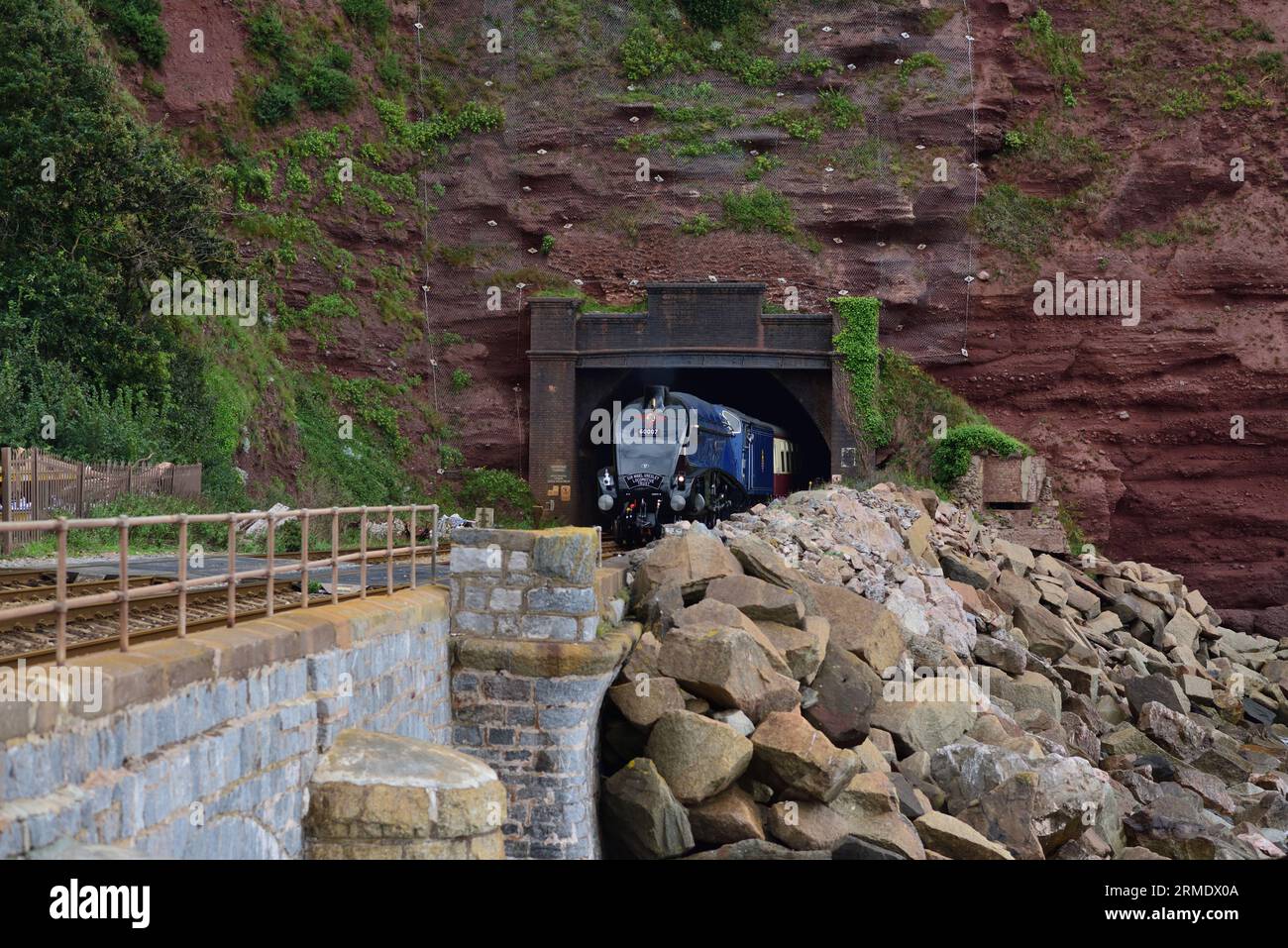 LNER Class A4 Pacific No 60007 Sir Nigel Gresley sort du tunnel Parsons à Holcombe avec l'English Riviera Express en direction de Kingswear. Banque D'Images