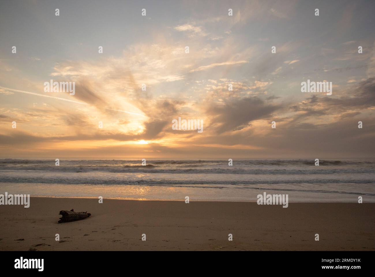 Le soleil se couche sur l'océan, seul morceau de bois flotté repose dans le sable. Banque D'Images