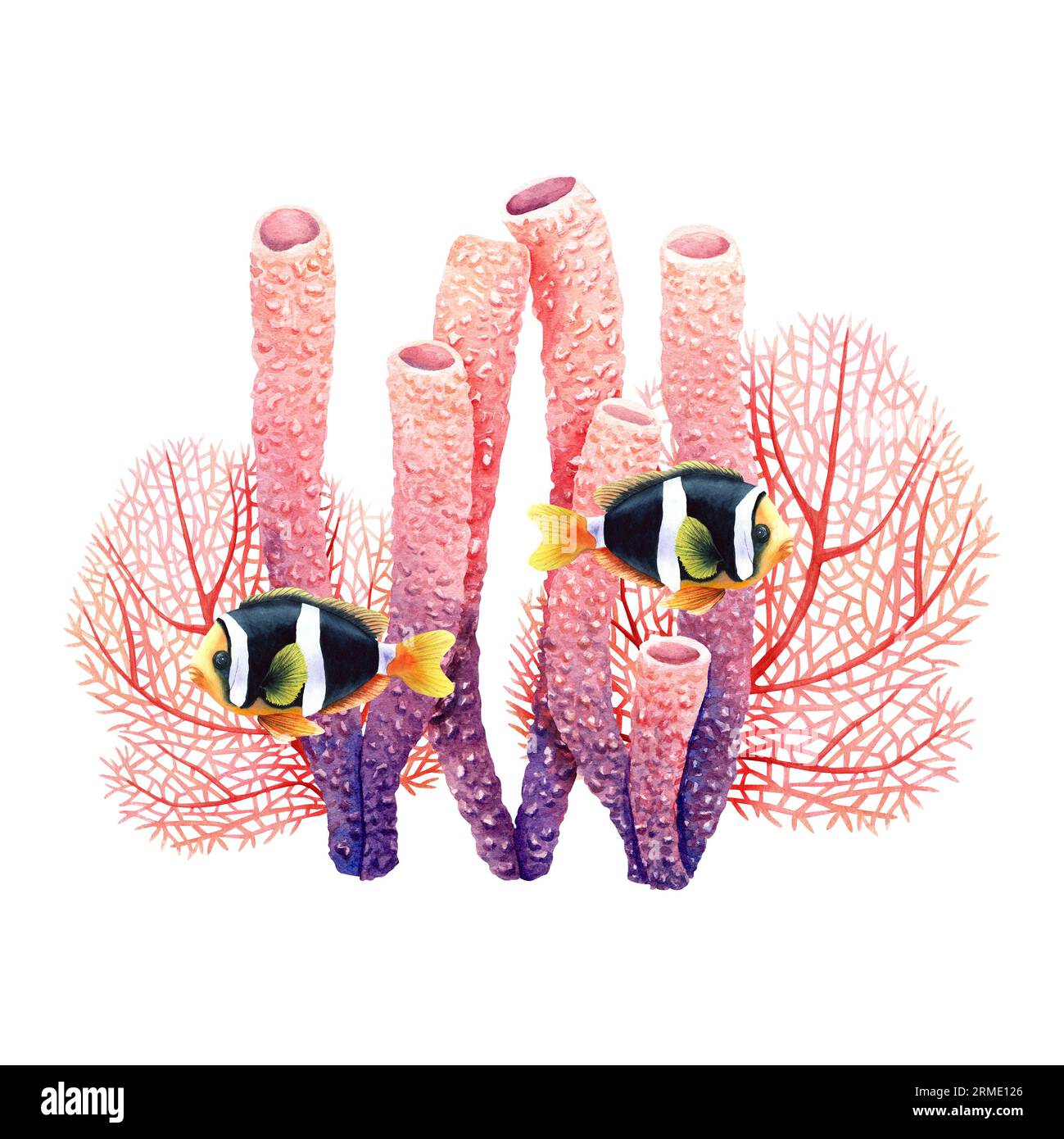 Composition sous-marine avec des plantes de récifs coralliens et des poissons exotiques. Illustration aquarelle pour clip art, cartes, étiquettes Banque D'Images