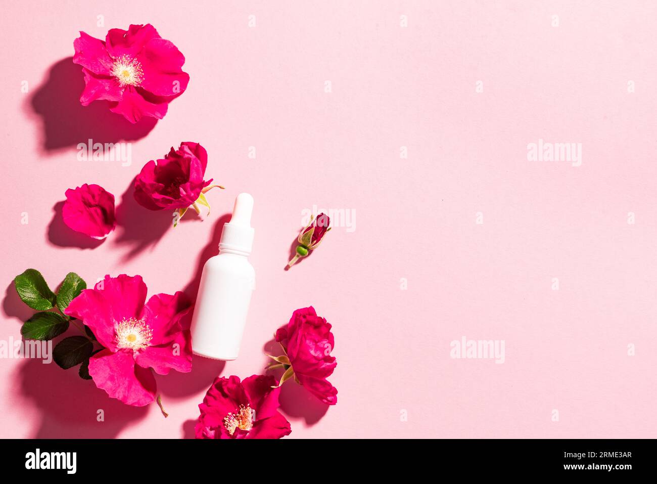 Flacon de sérum cosmétique blanc avec compte-gouttes, fleurs roses sauvages sur fond rose, espace copie. Cosmétiques biologiques naturels, produit de soin de la peau à base de plantes de beauté Banque D'Images
