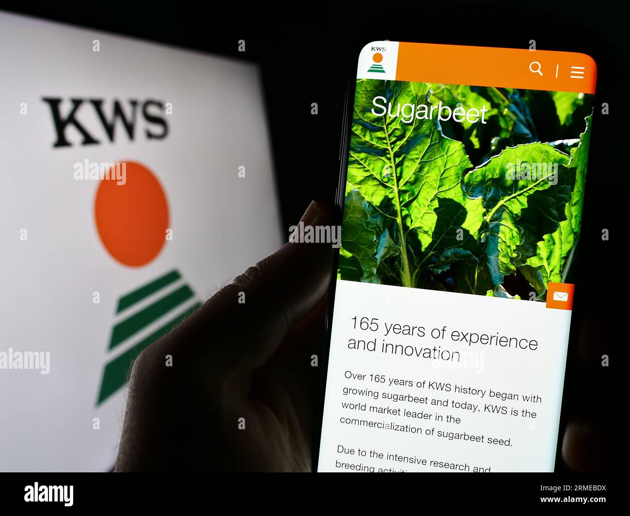 Personne détenant un téléphone portable avec la page Web de la société agricole allemande KWS Saat se Co. KGaA à l'écran avec logo. Concentrez-vous sur le centre de l'écran du téléphone. Banque D'Images Personne détenant un téléphone portable avec la page Web de la société agricole allemande KWS Saat se Co. KGaA à l'écran avec logo. Concentrez-vous sur le centre de l'écran du téléphone. Banque D'Images