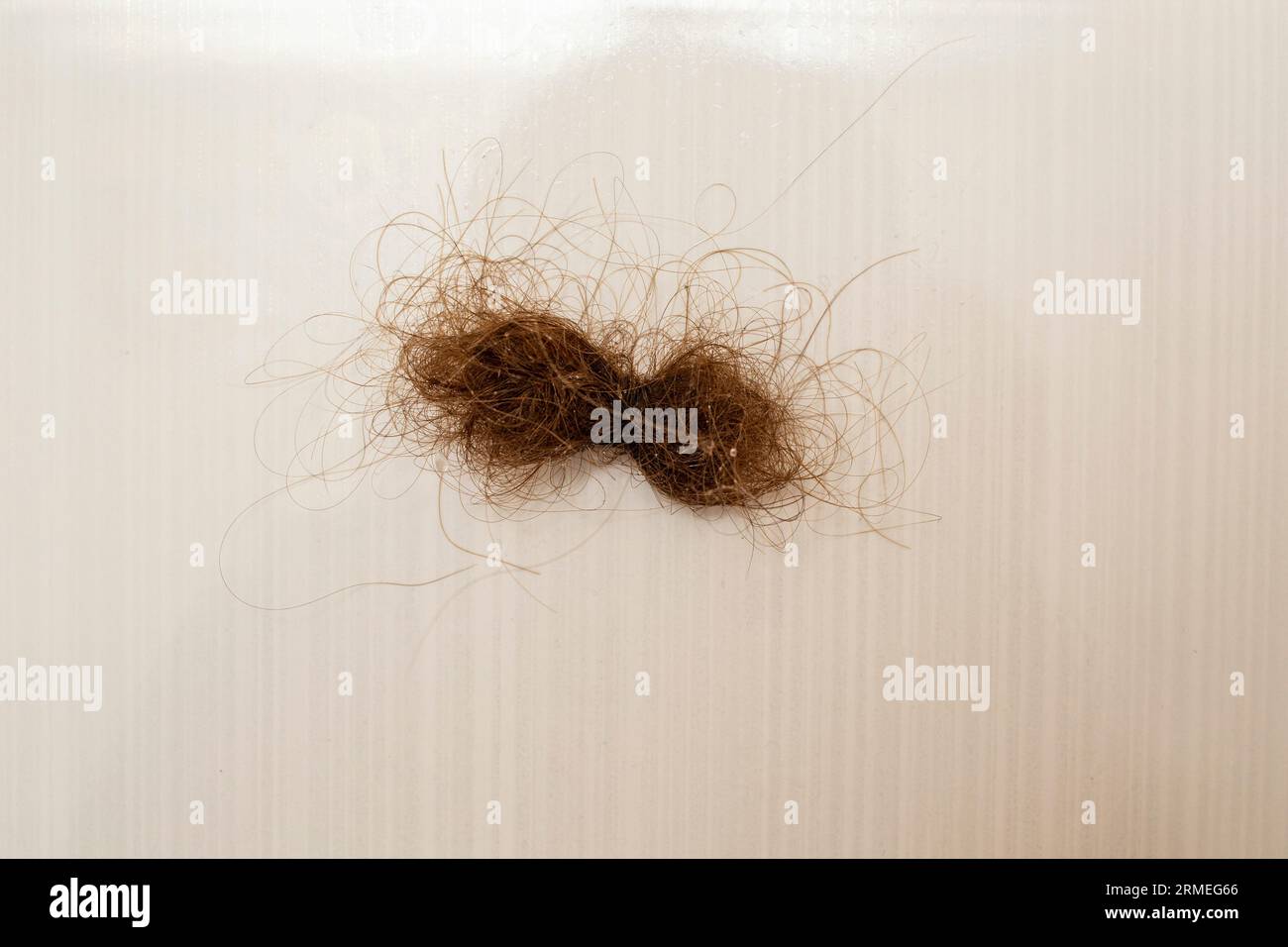 Cheveux bruns tombés attachés comme un arc maculés sur les carreaux de céramique beige soft focus Banque D'Images