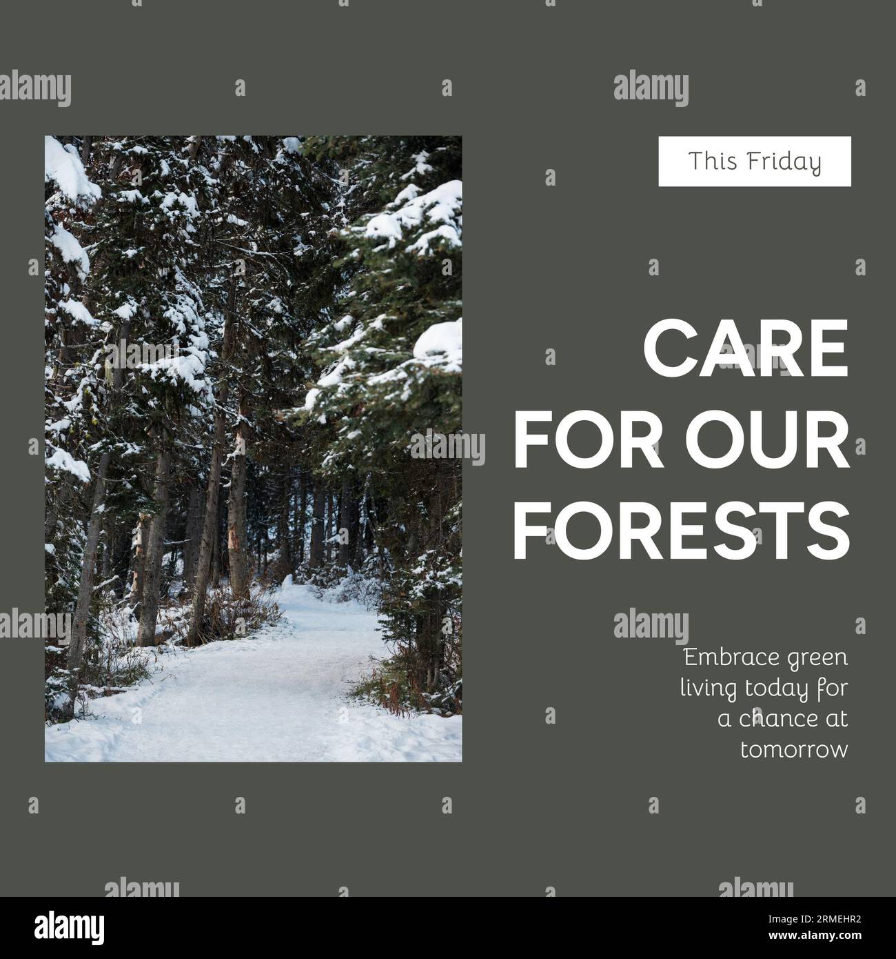 Composite de ce vendredi, prendre soin de nos forêts texte sur les arbres enneigés en forêt Banque D'Images