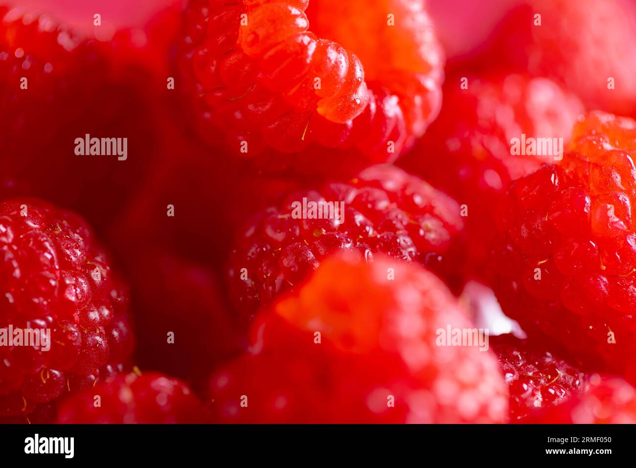 Micro gros plan de framboises avec espace de copie Banque D'Images