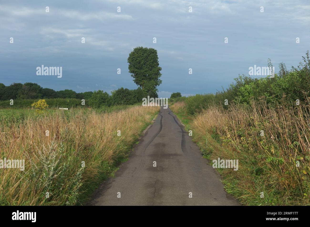Marques de dérapage du véhicule sur une route rurale. Les routes rurales enregistrent 70 % de décès de plus que les routes urbaines. Banque D'Images